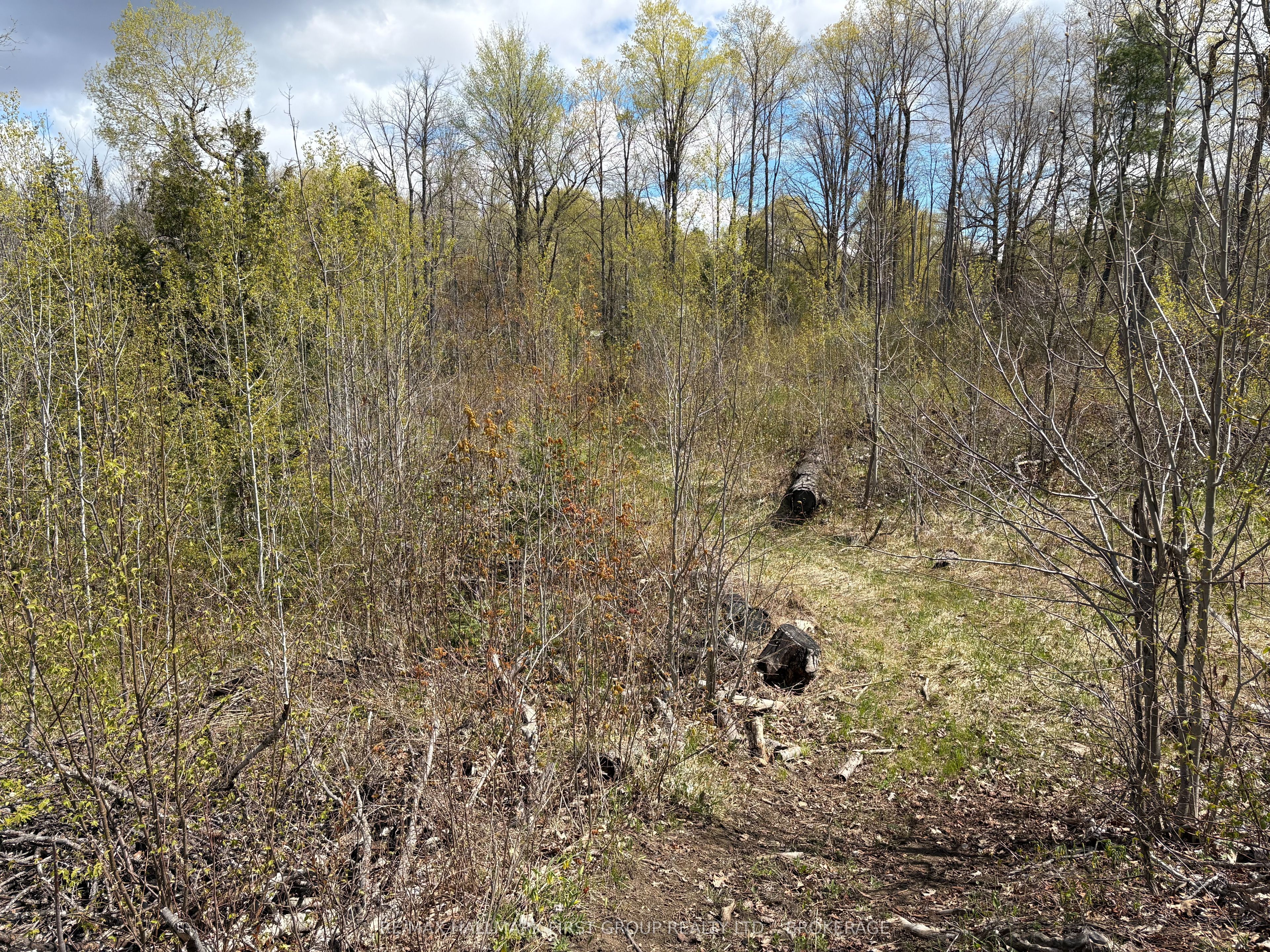 Lot 0 County Road 38 Property Photo 10