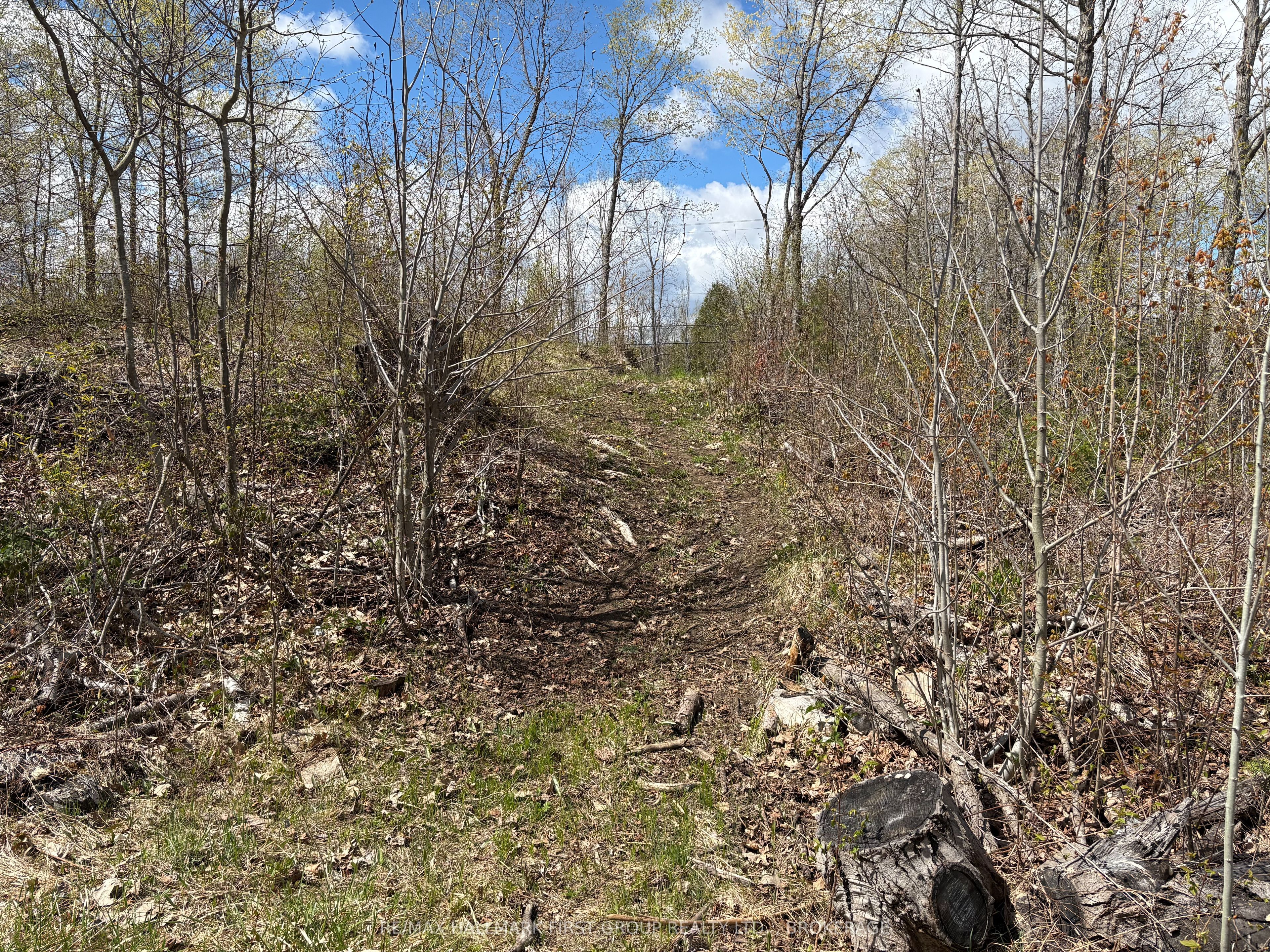 Lot 0 County Road 38 Property Photo 11