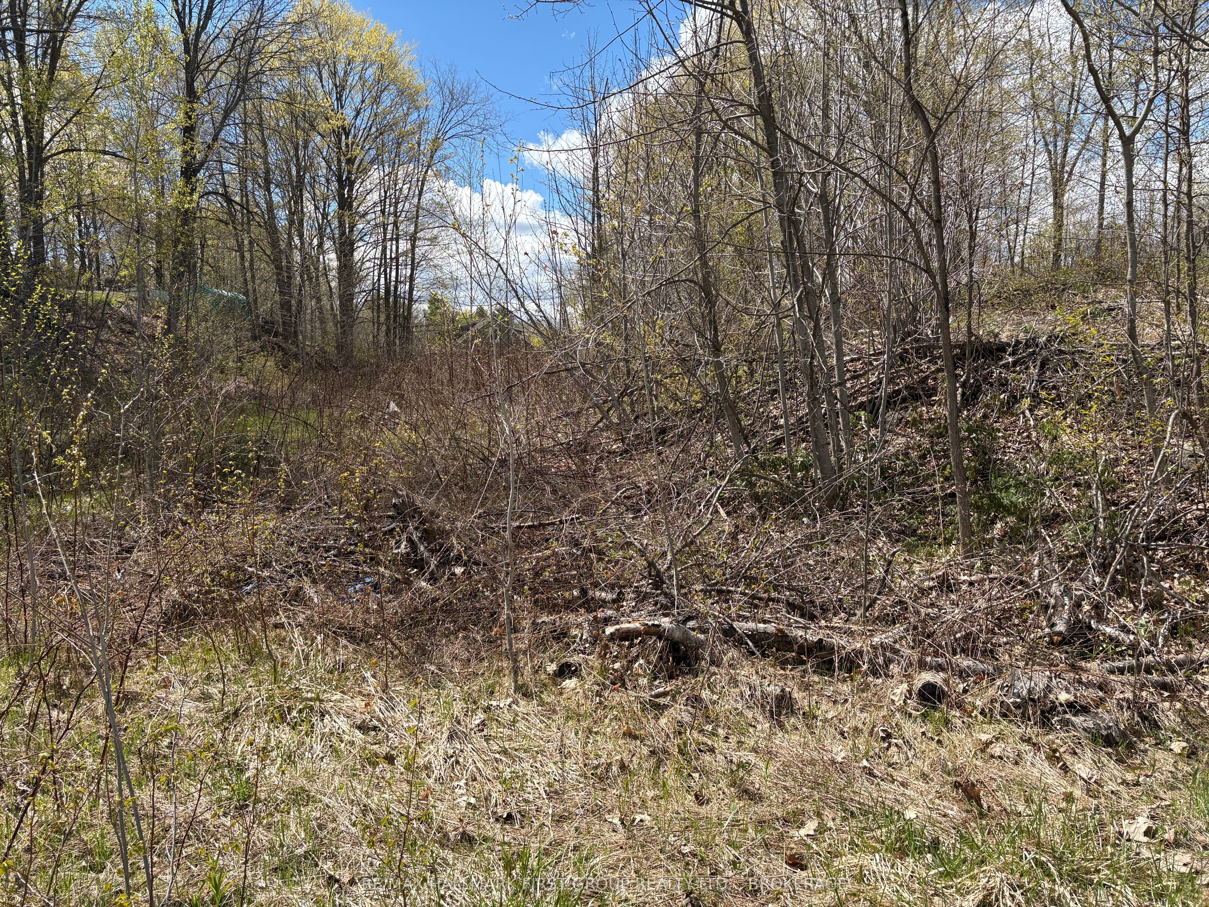 Lot 0 County Road 38 Property Photo 12