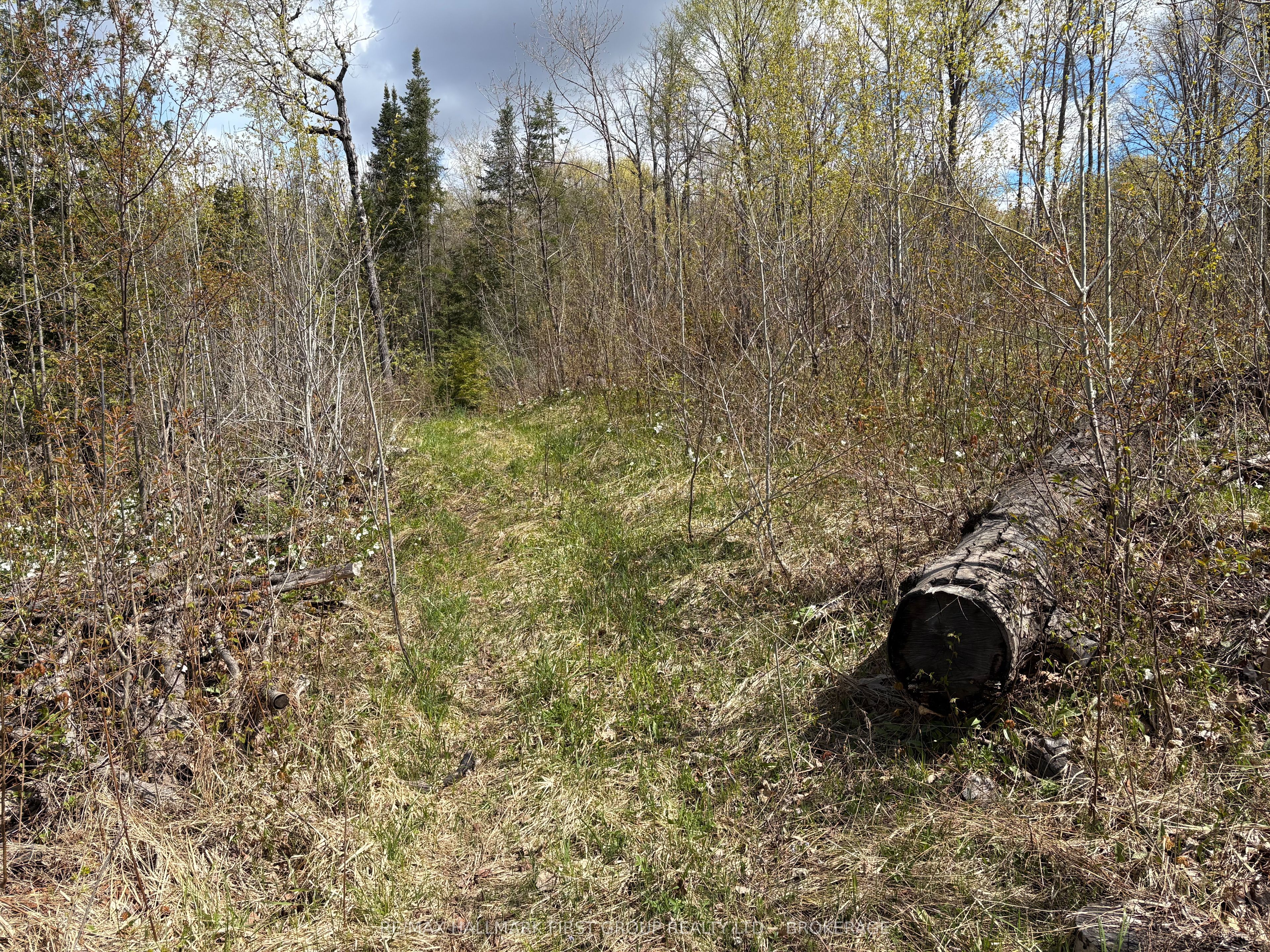Lot 0 County Road 38 Property Photo 13
