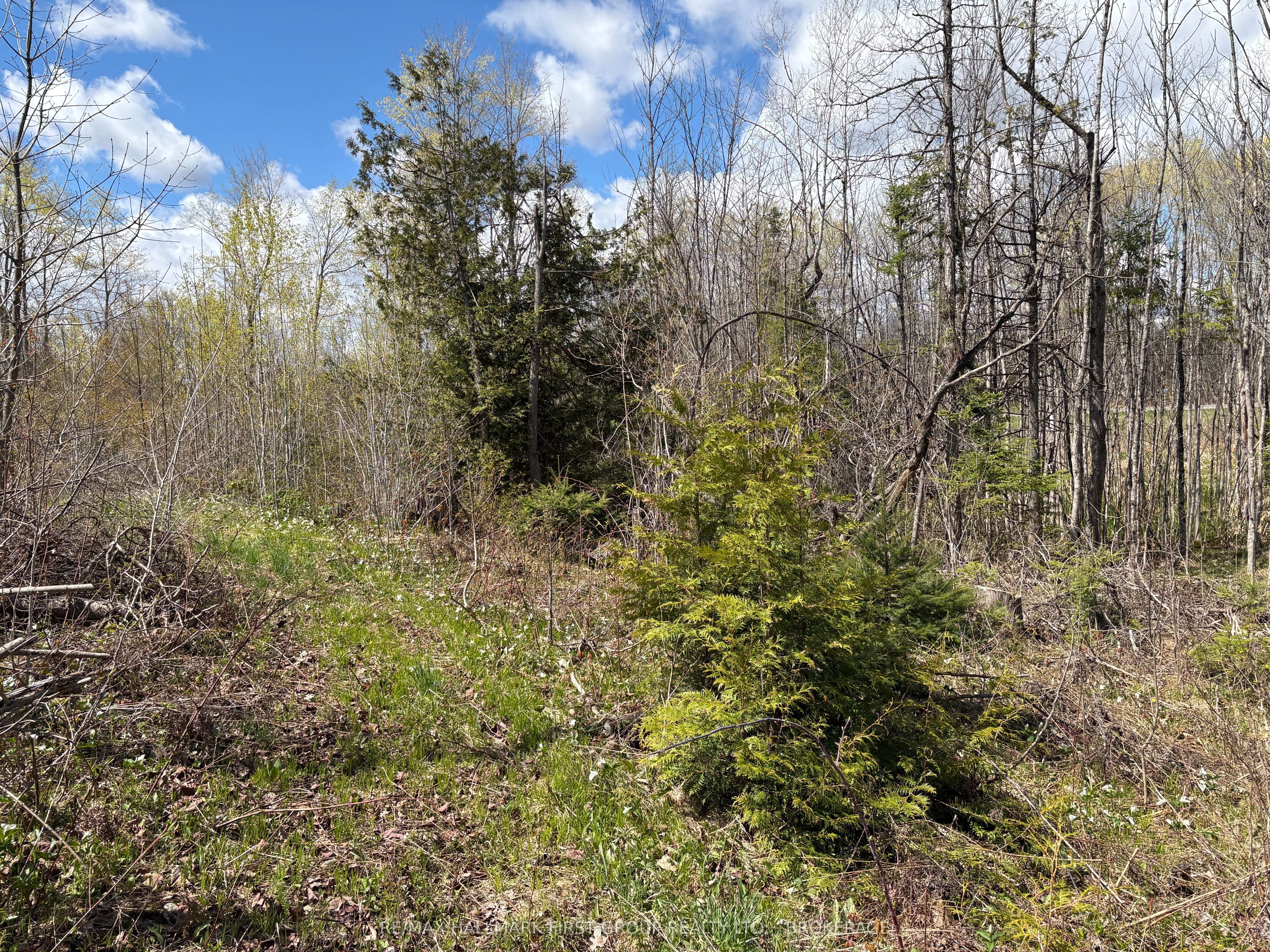 Lot 0 County Road 38 Property Photo 15