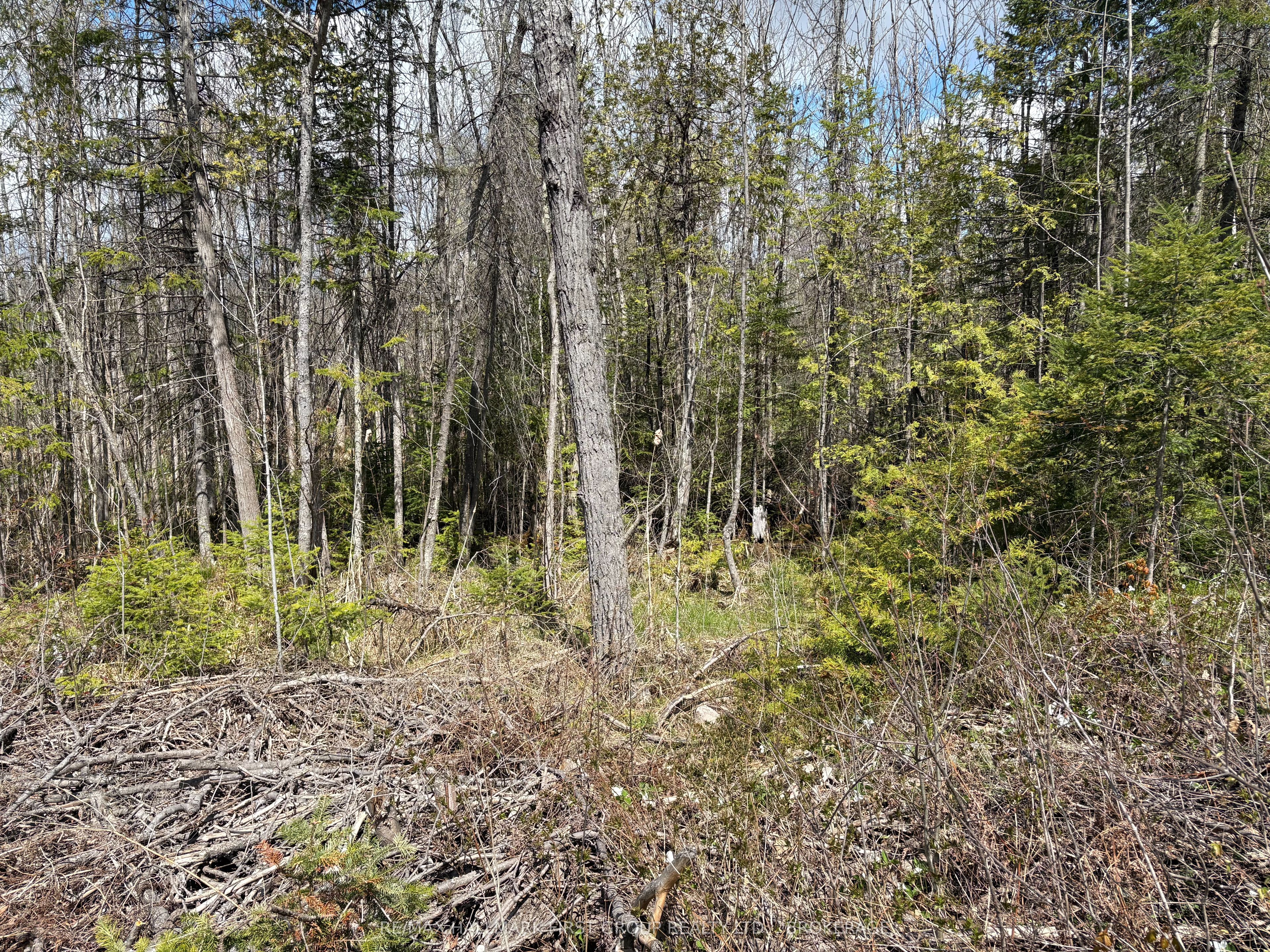 Lot 0 County Road 38 Property Photo 16