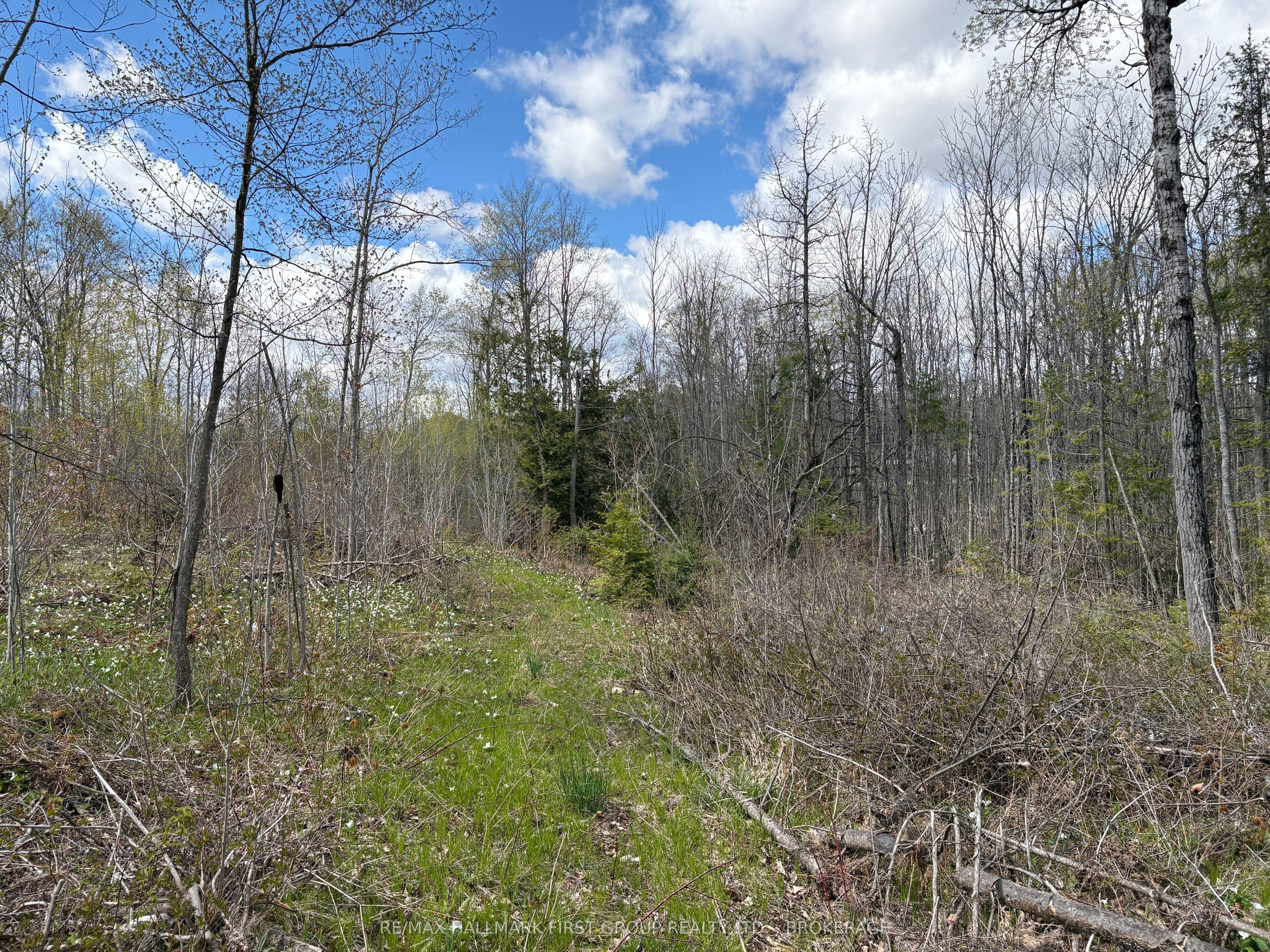 Lot 0 County Road 38 Property Photo 18