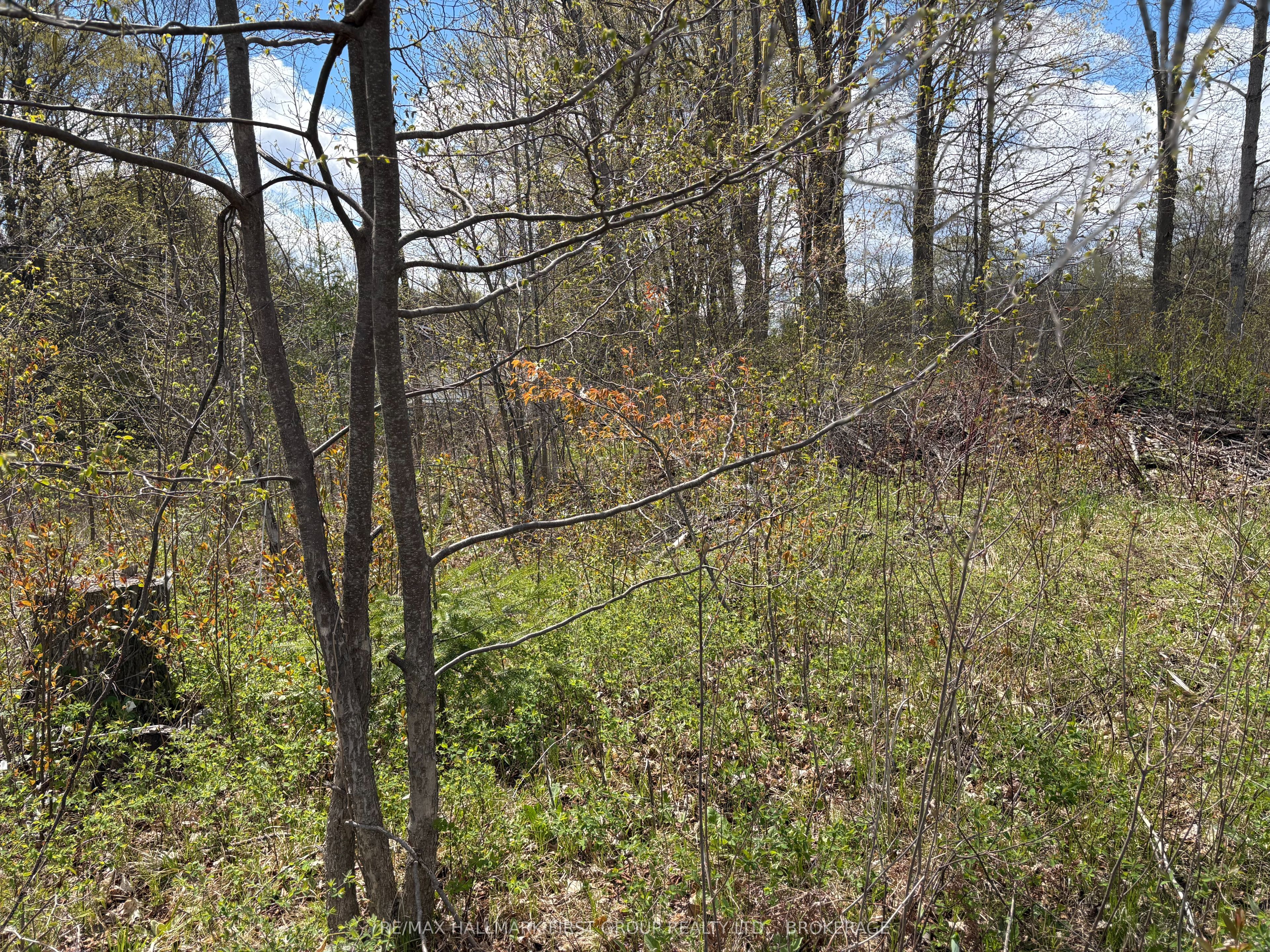 Lot 0 County Road 38 Property Photo 19
