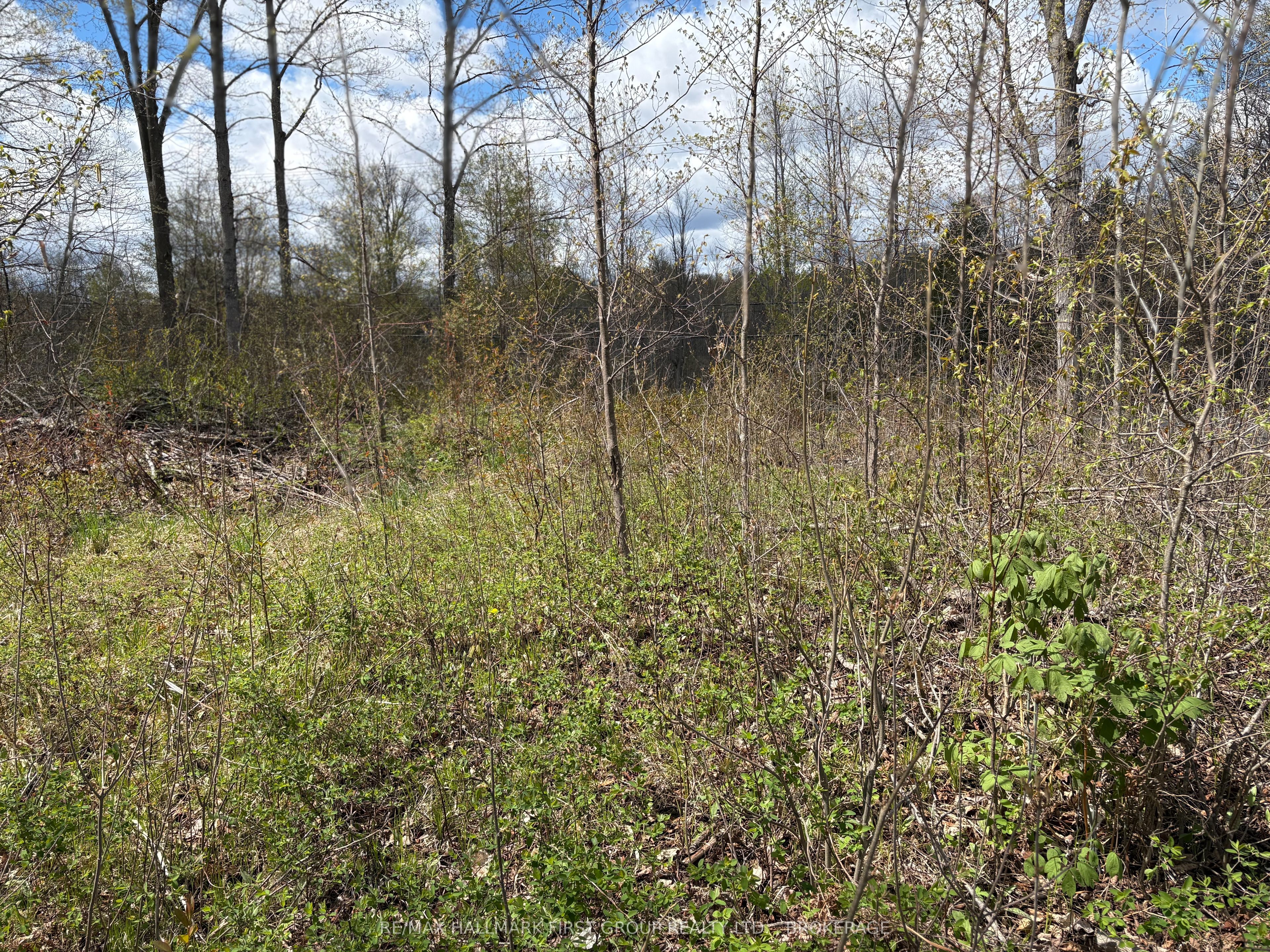 Lot 0 County Road 38 Property Photo 20