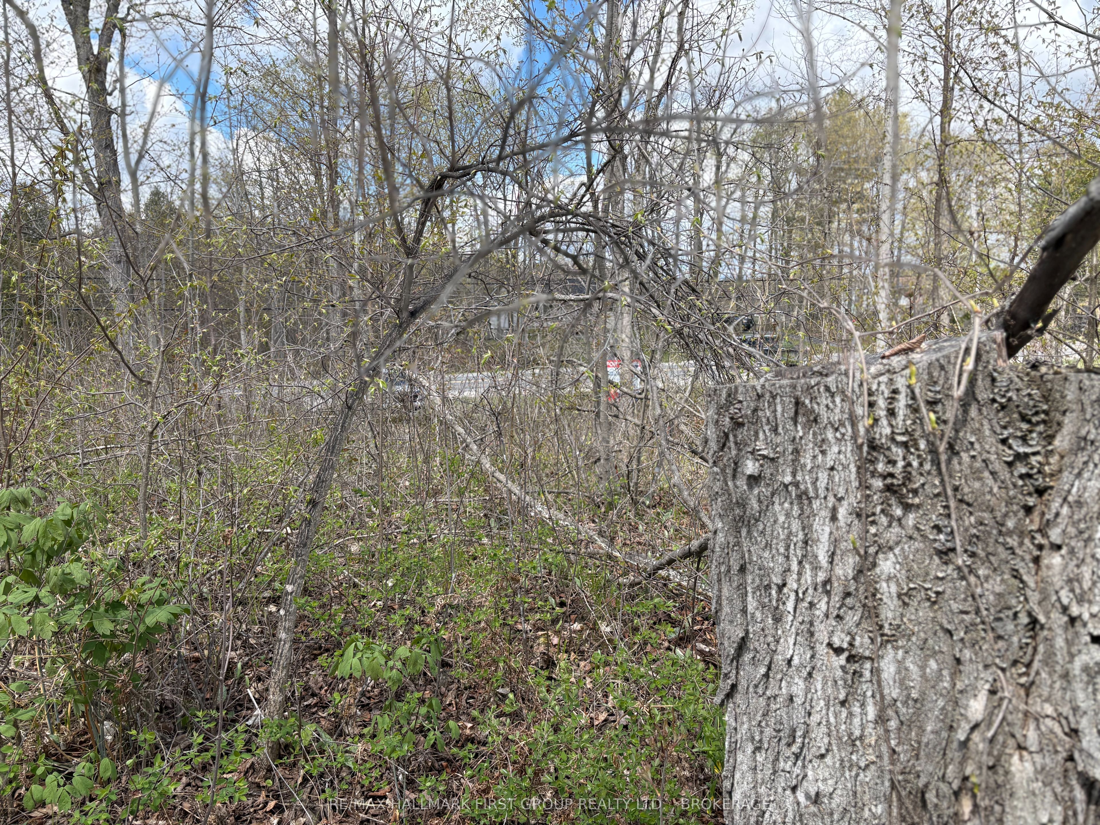 Lot 0 County Road 38 Property Photo 21