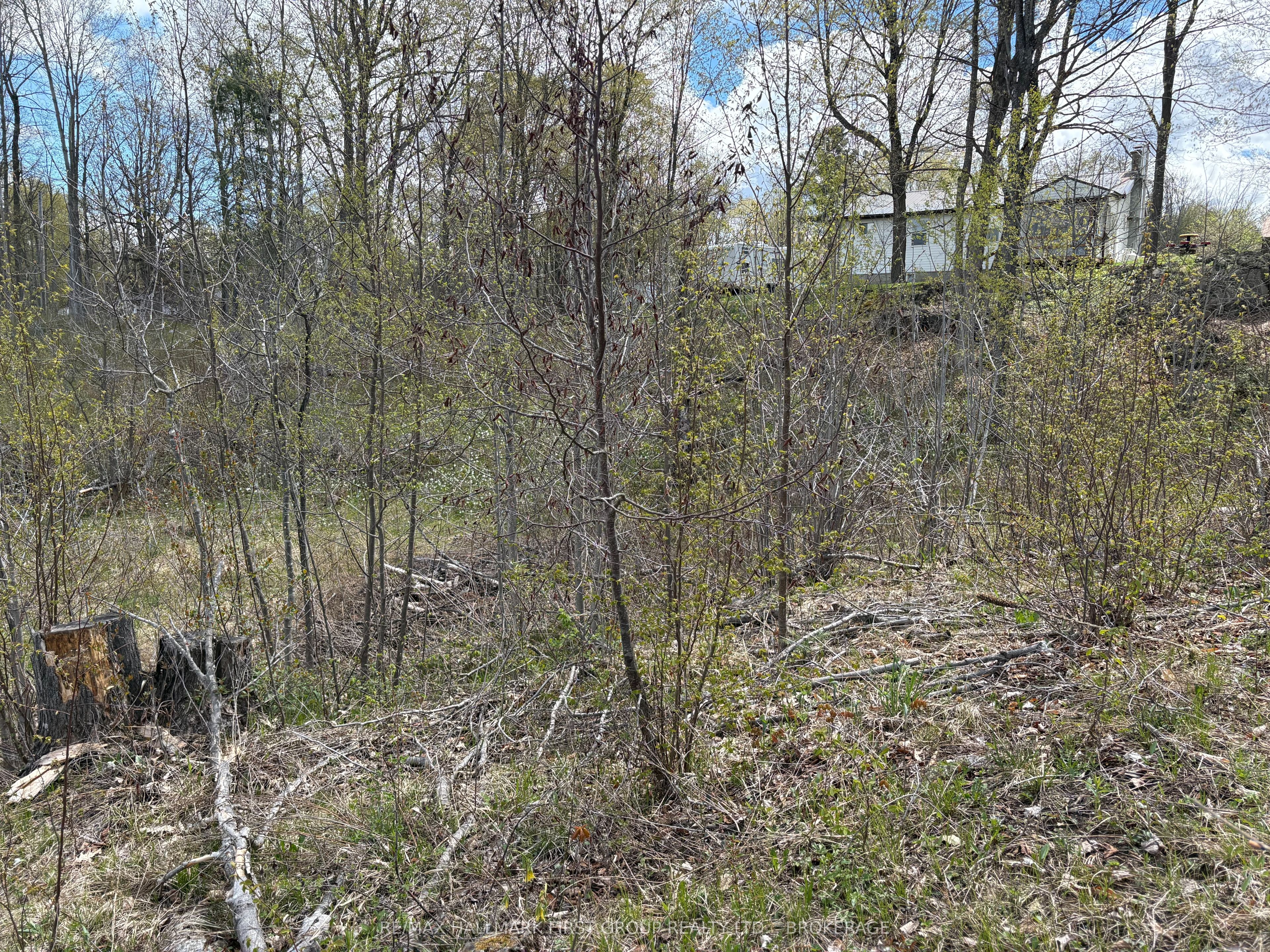 Lot 0 County Road 38 Property Photo 22