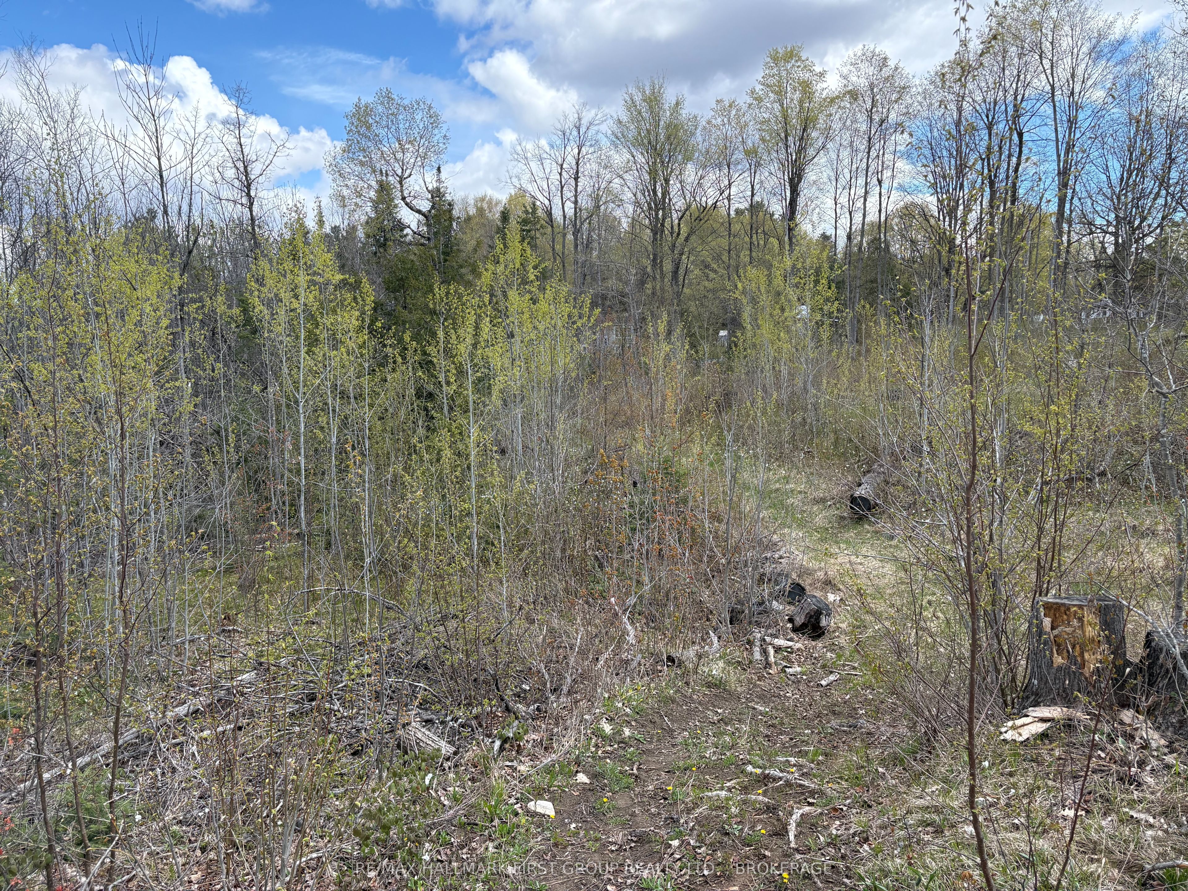 Lot 0 County Road 38 Property Photo 23