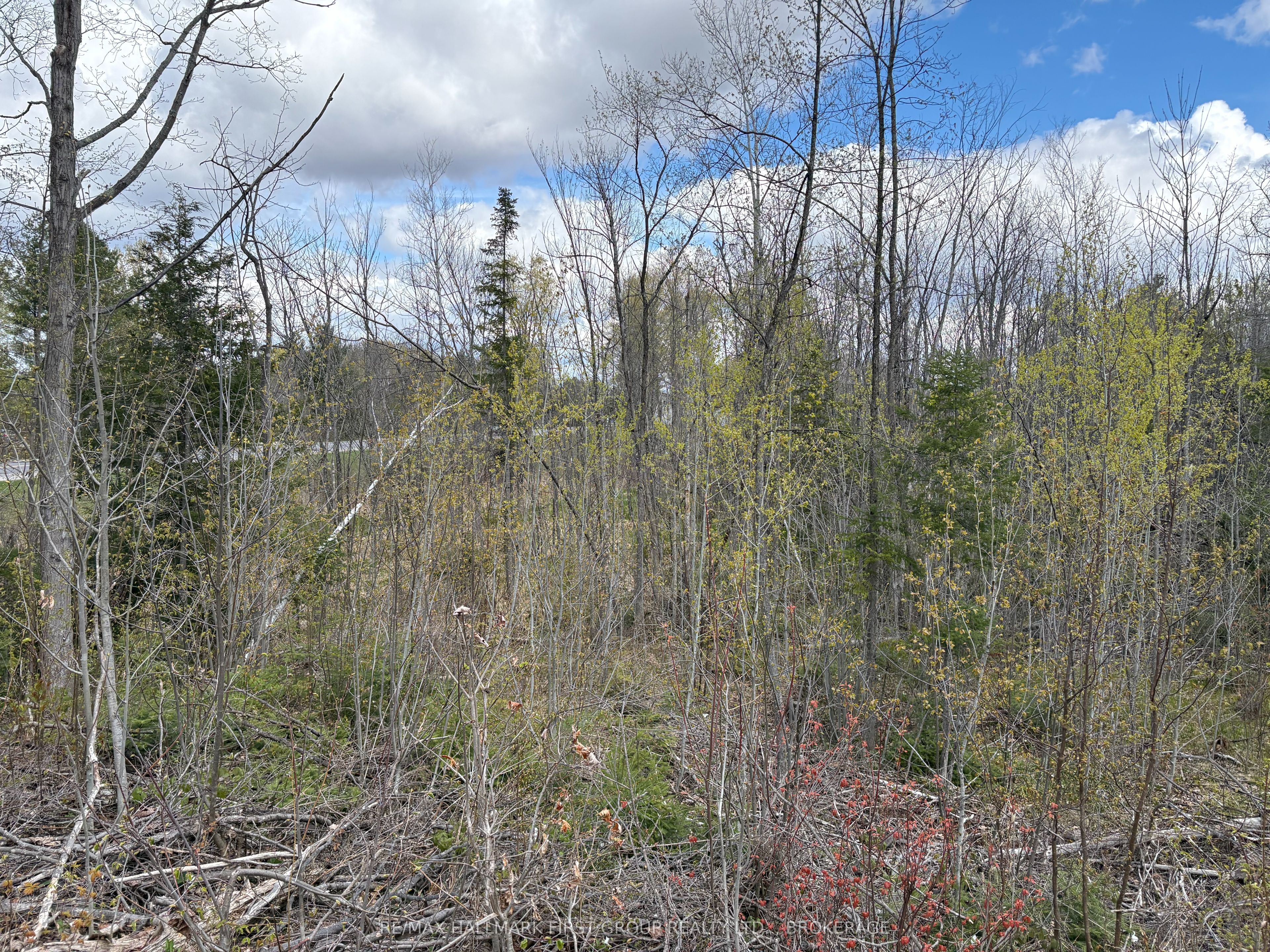 Lot 0 County Road 38 Property Photo 24