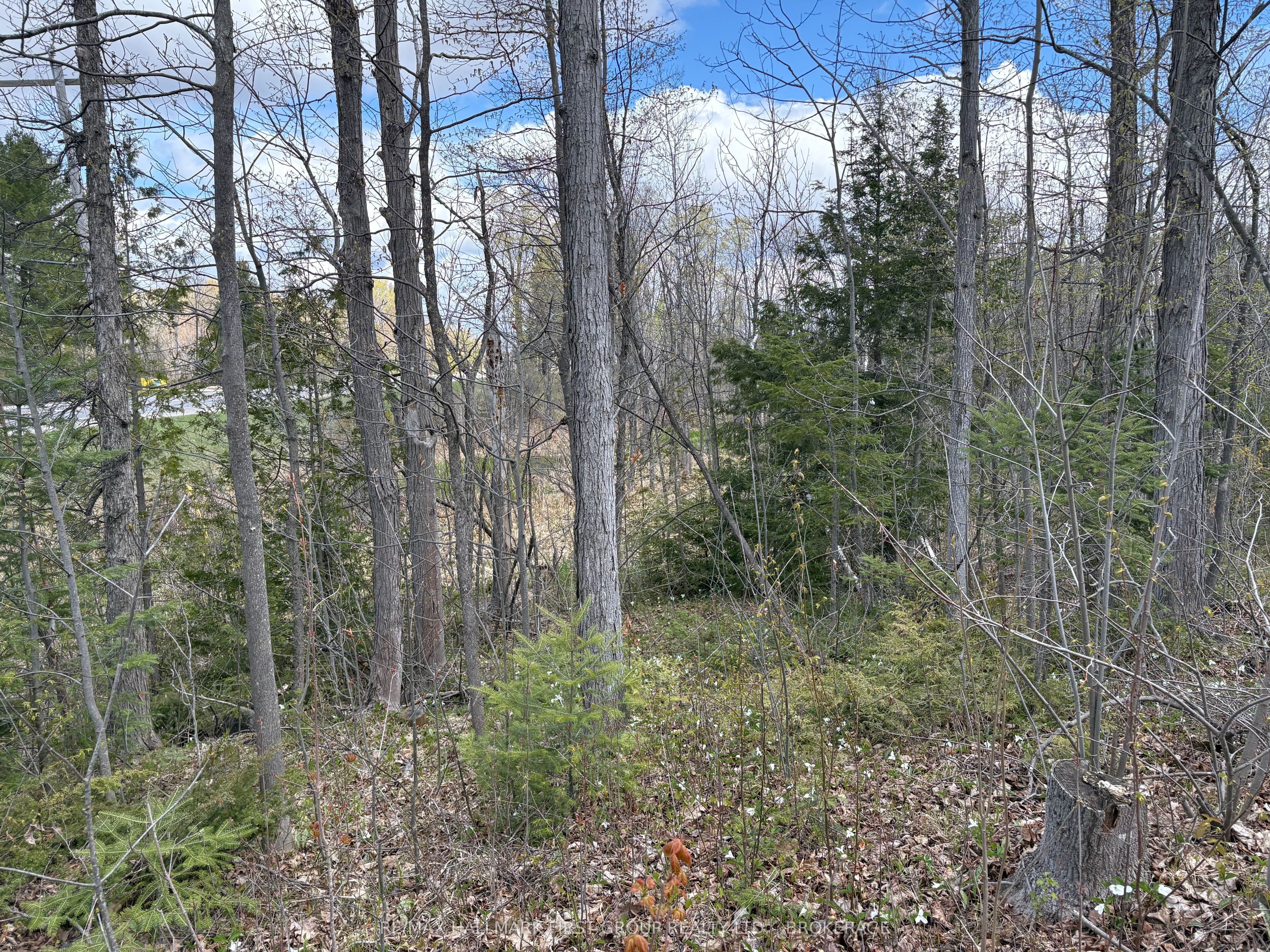 Lot 0 County Road 38 Property Photo 25