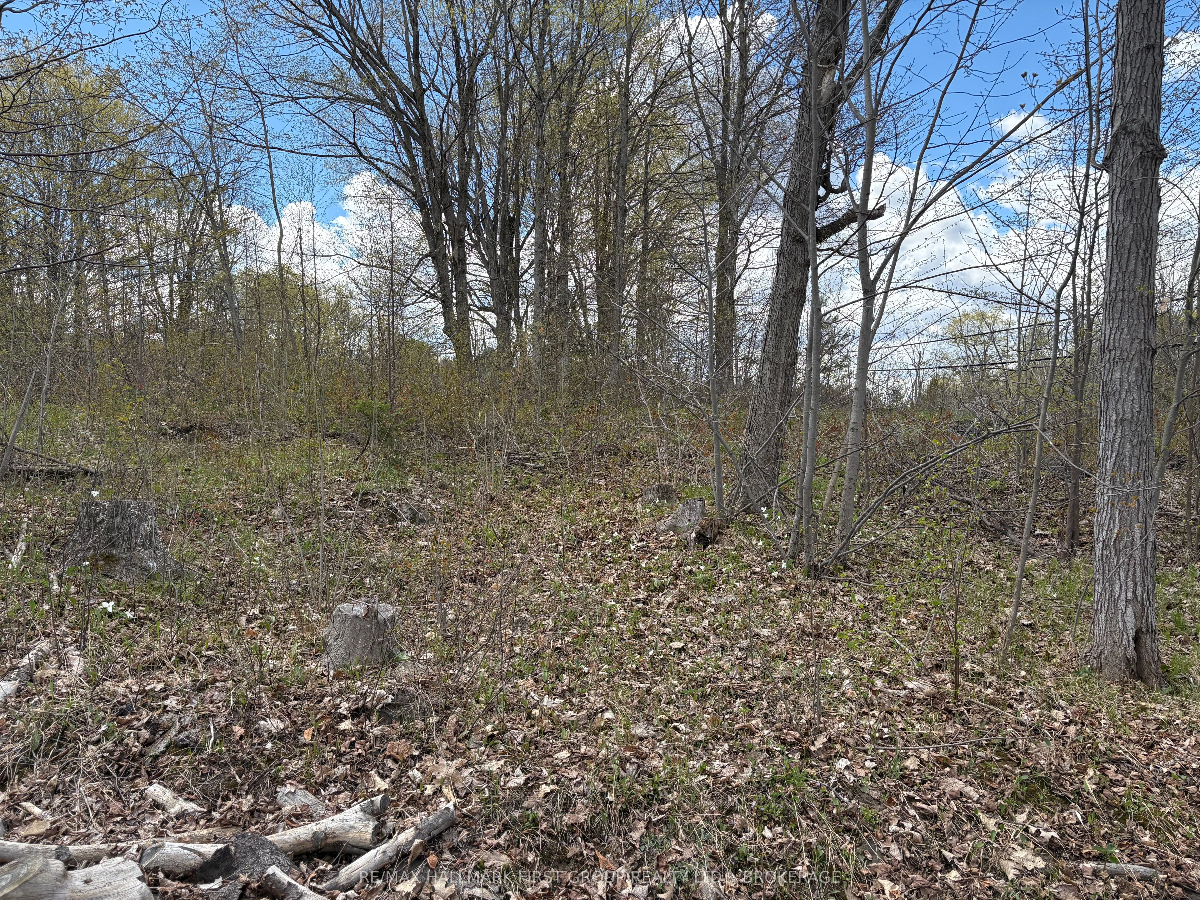 Lot 0 County Road 38 Property Photo 26