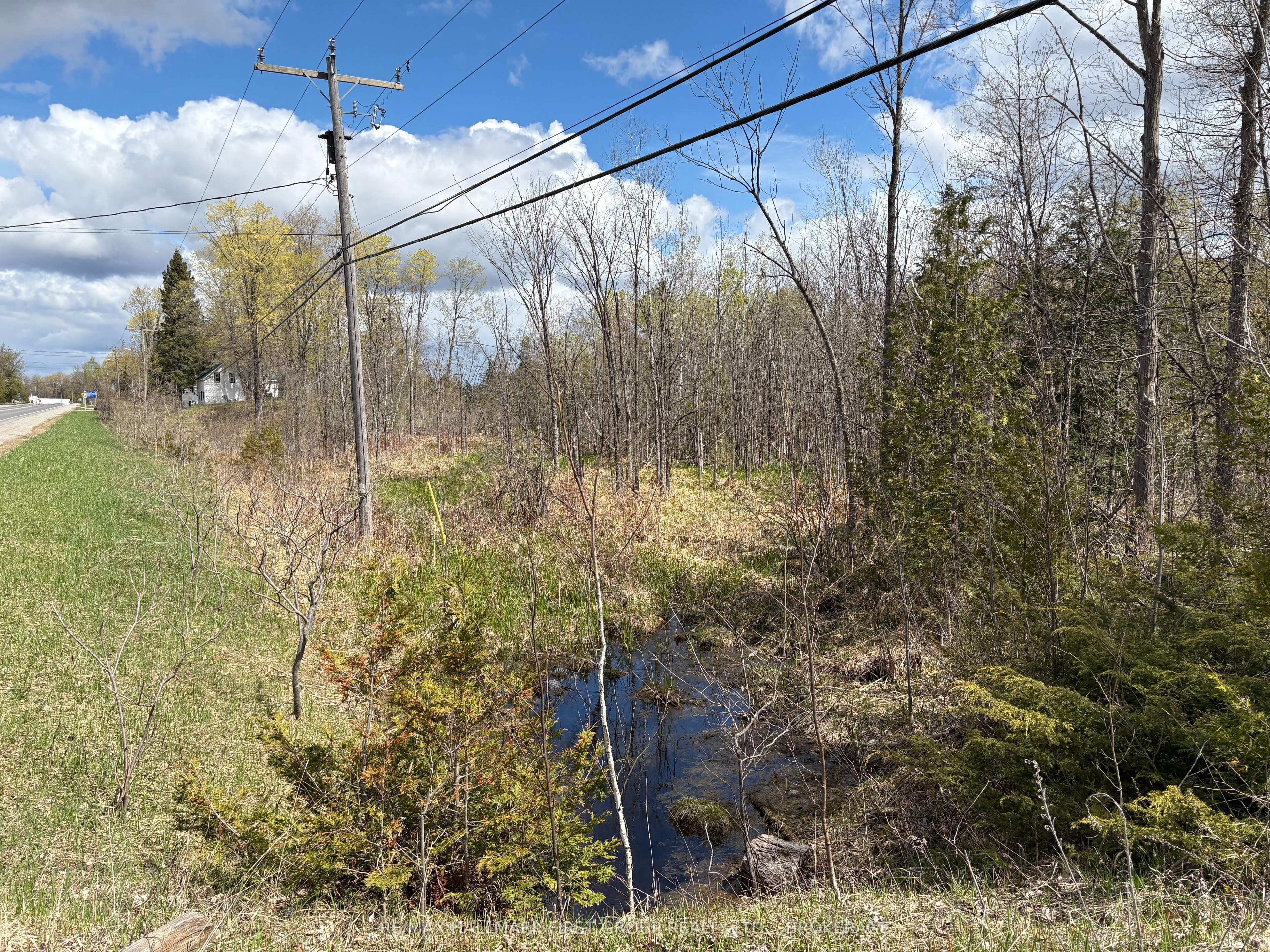 Lot 0 County Road 38 Property Photo 27