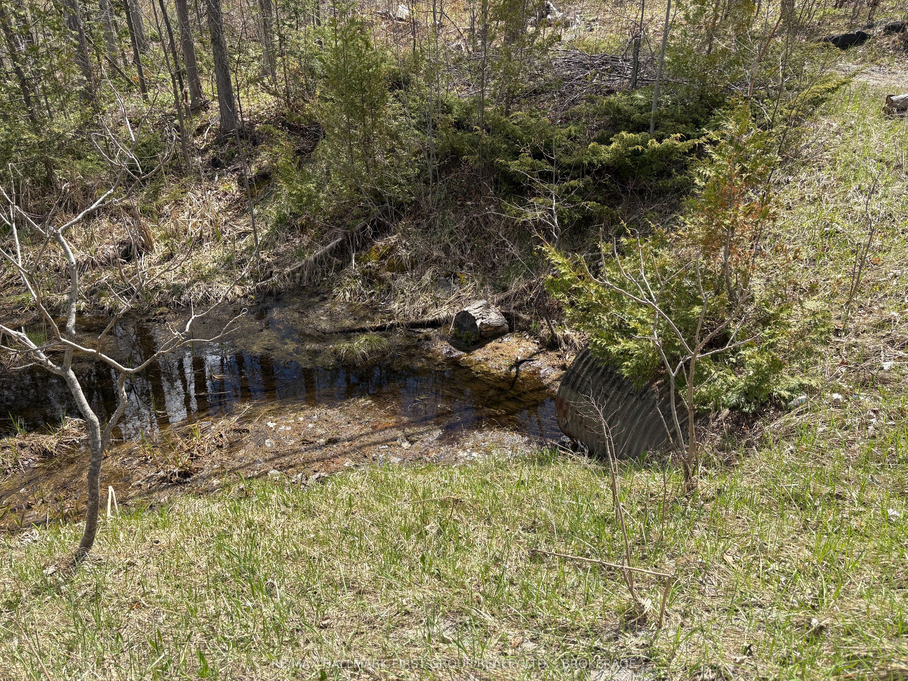Lot 0 County Road 38 Property Photo 28