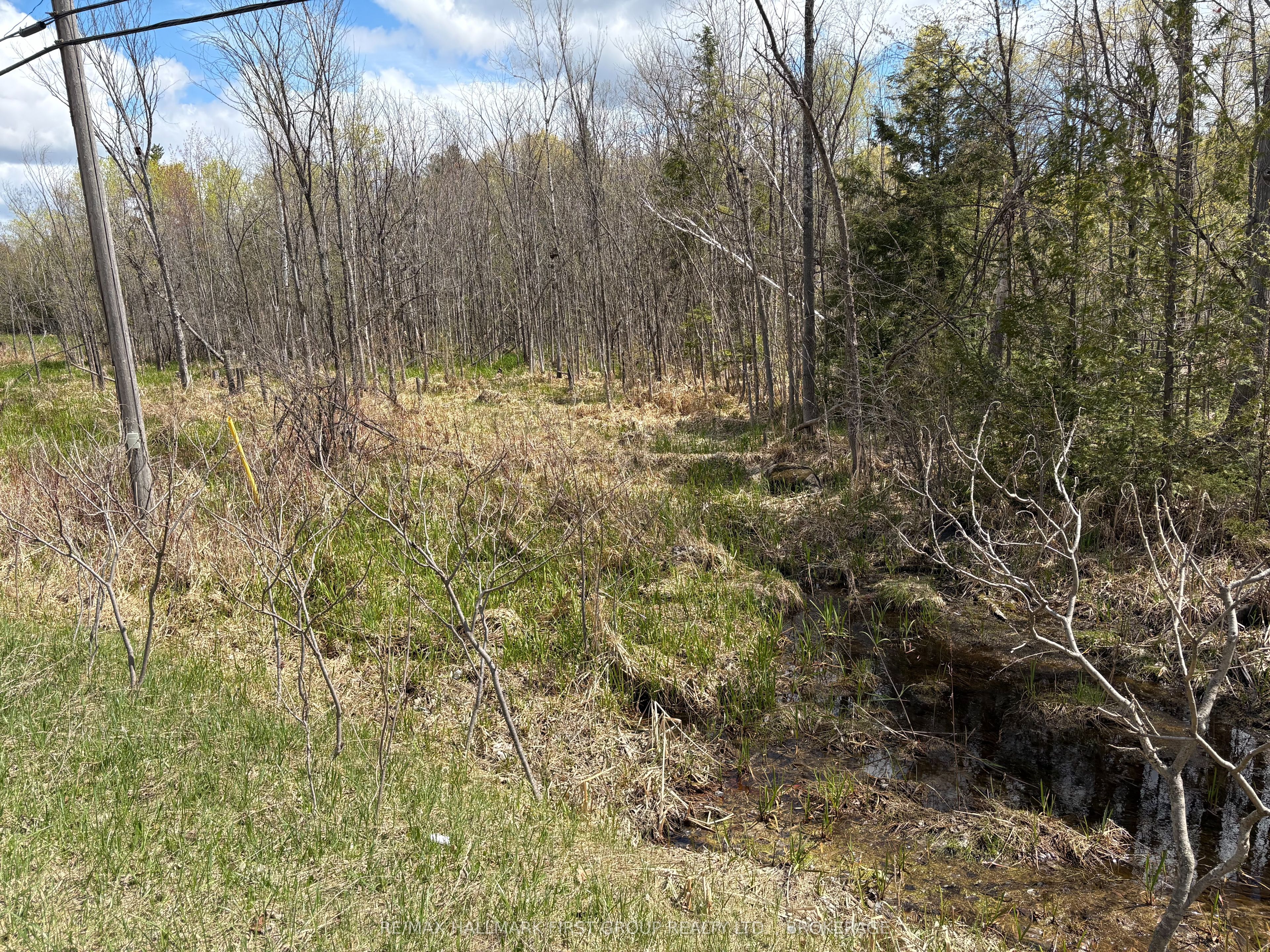 Lot 0 County Road 38 Property Photo 29