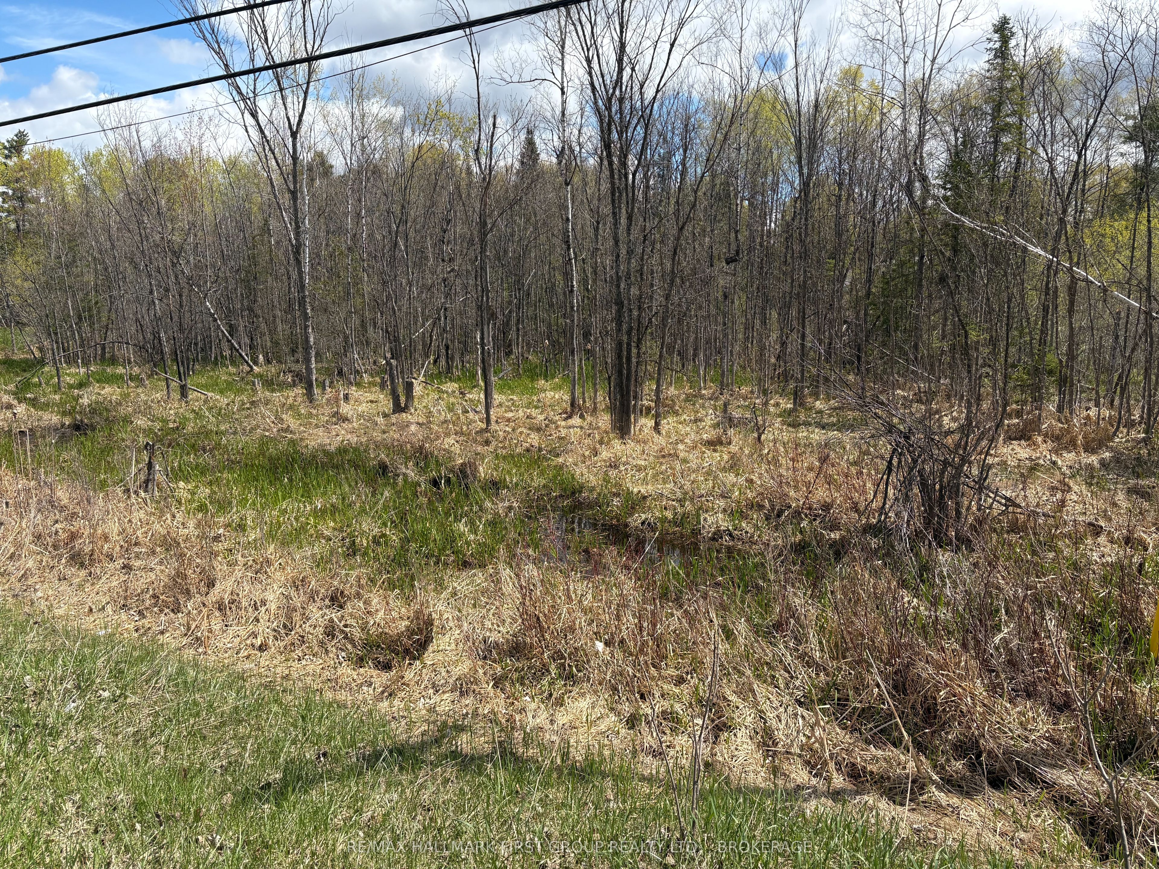 Lot 0 County Road 38 Property Photo 30