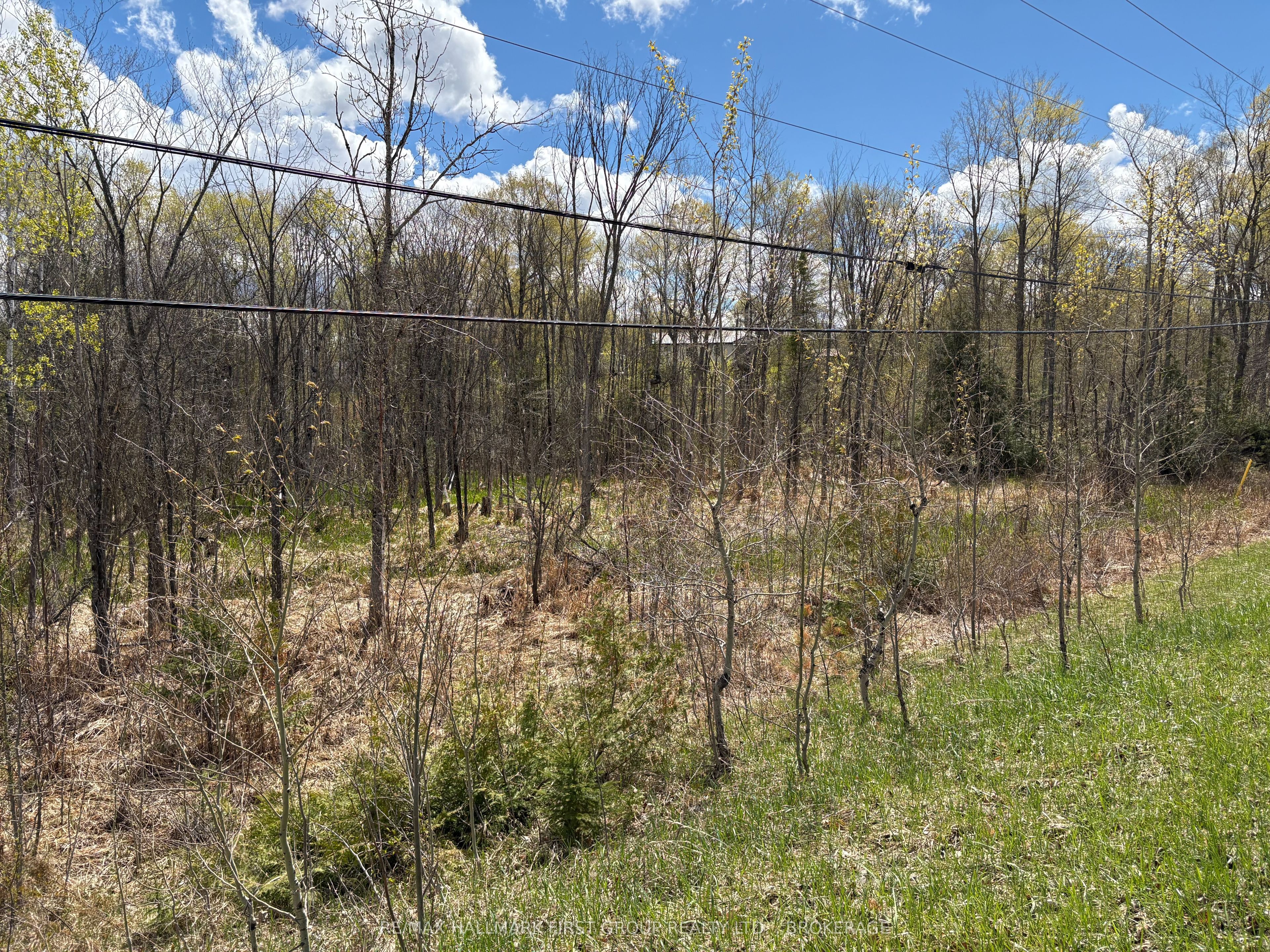 Lot 0 County Road 38 Property Photo 31