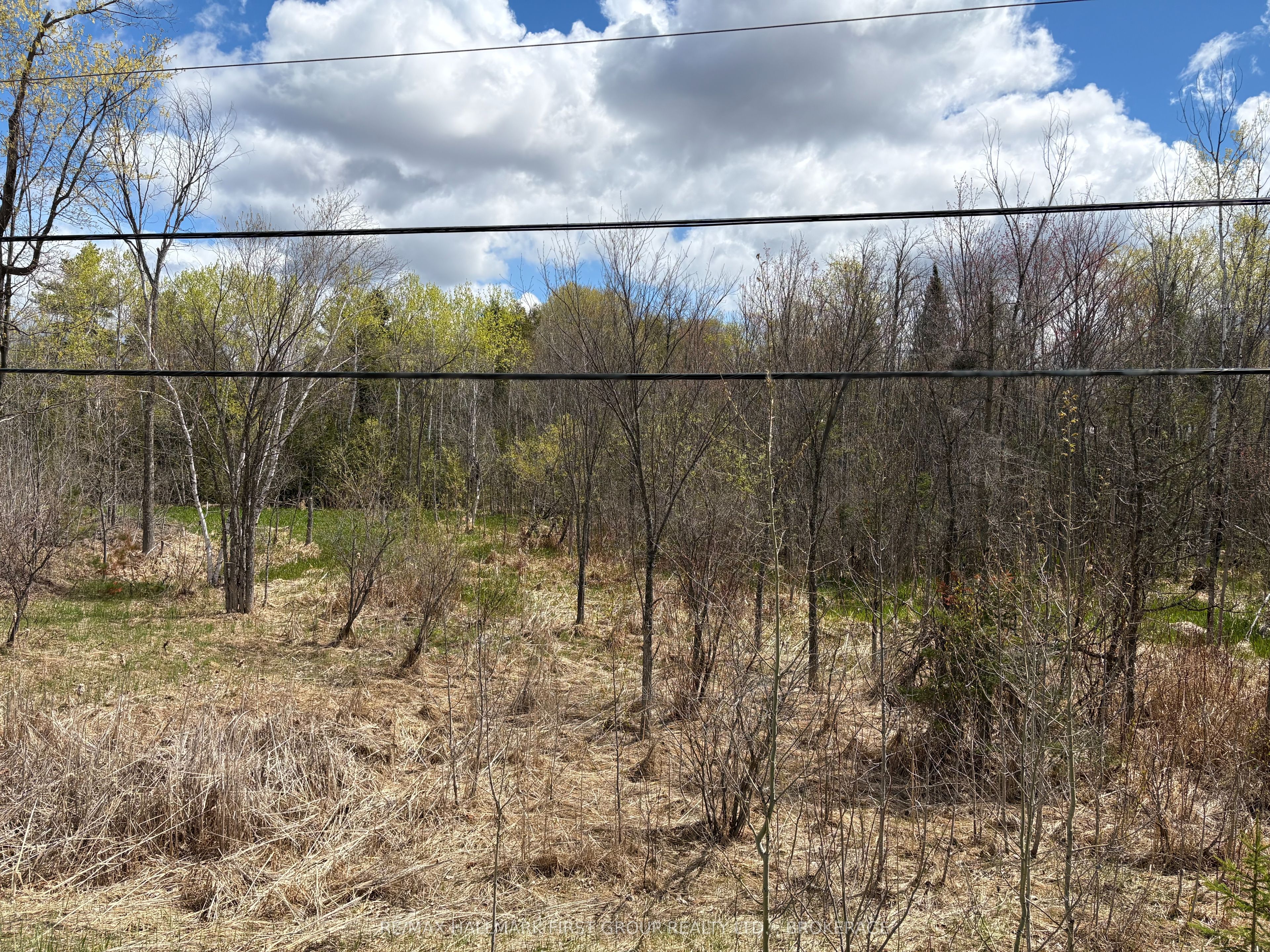 Lot 0 County Road 38 Property Photo 32