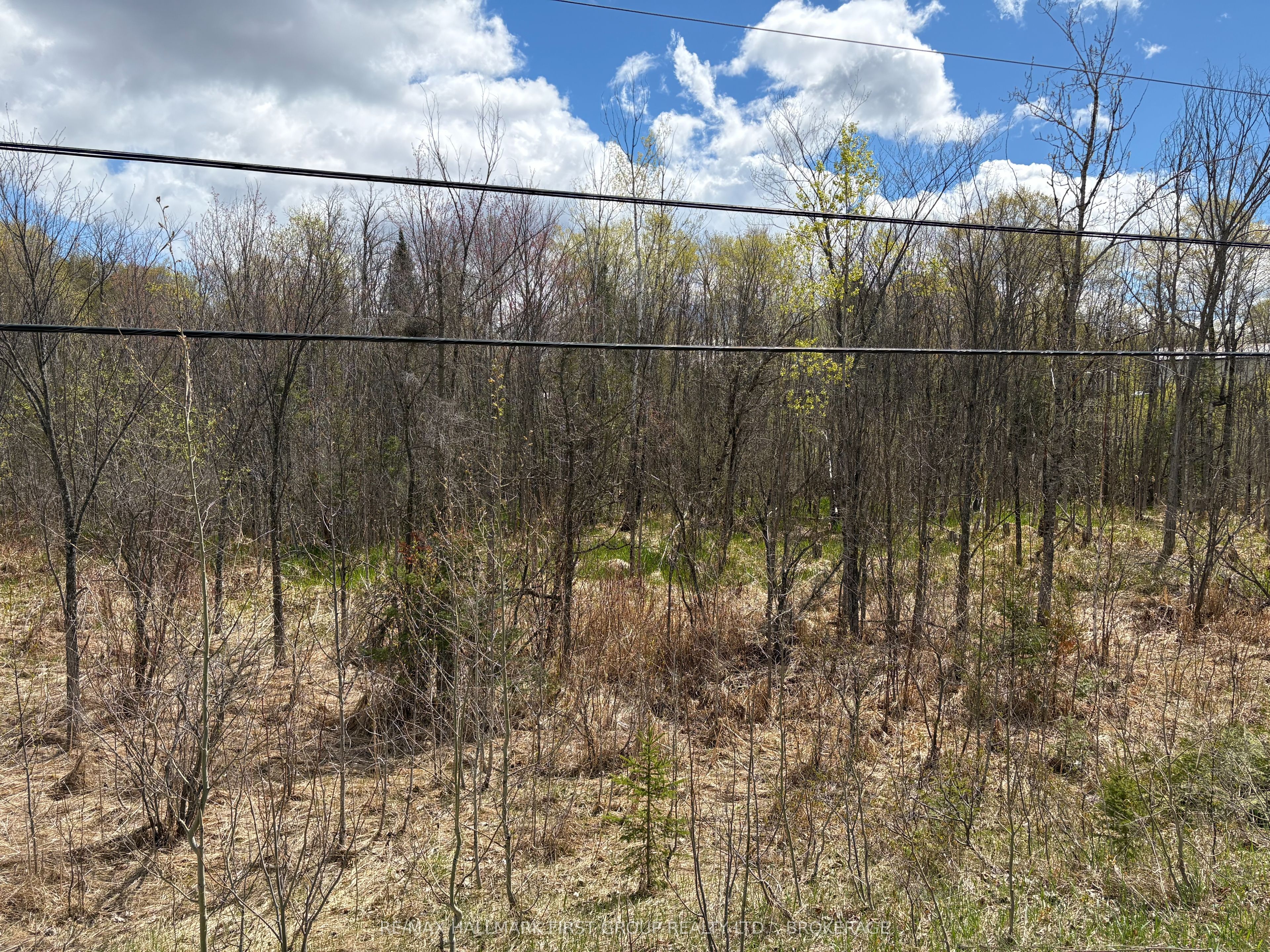 Lot 0 County Road 38 Property Photo 33