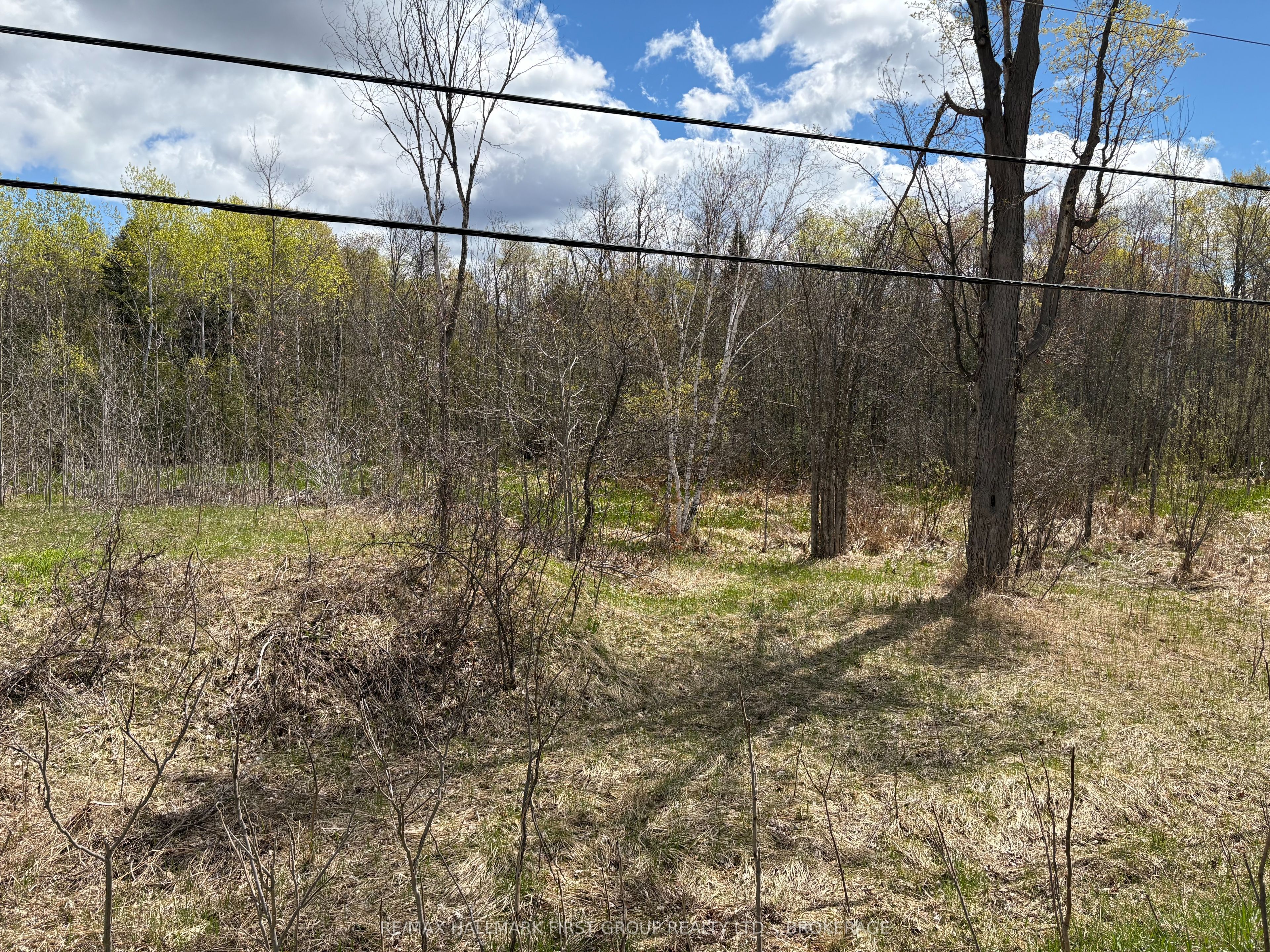 Lot 0 County Road 38 Property Photo 34