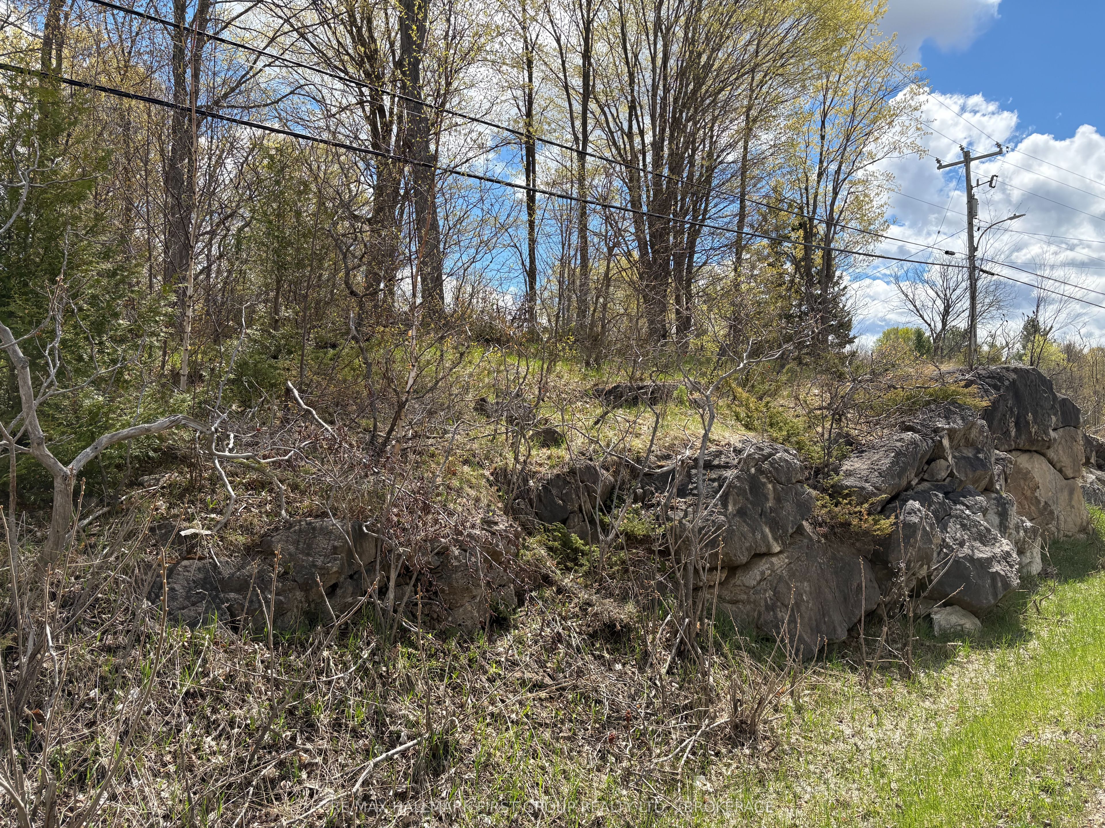 Lot 0 County Road 38 Property Photo 36