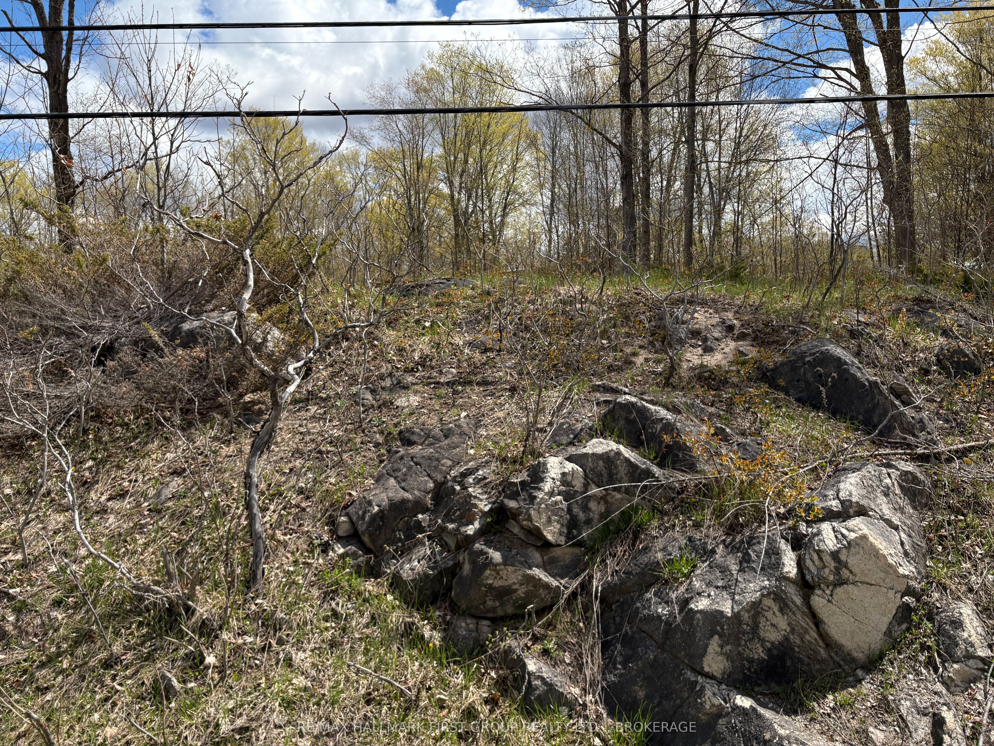 Lot 0 County Road 38 Property Photo 37