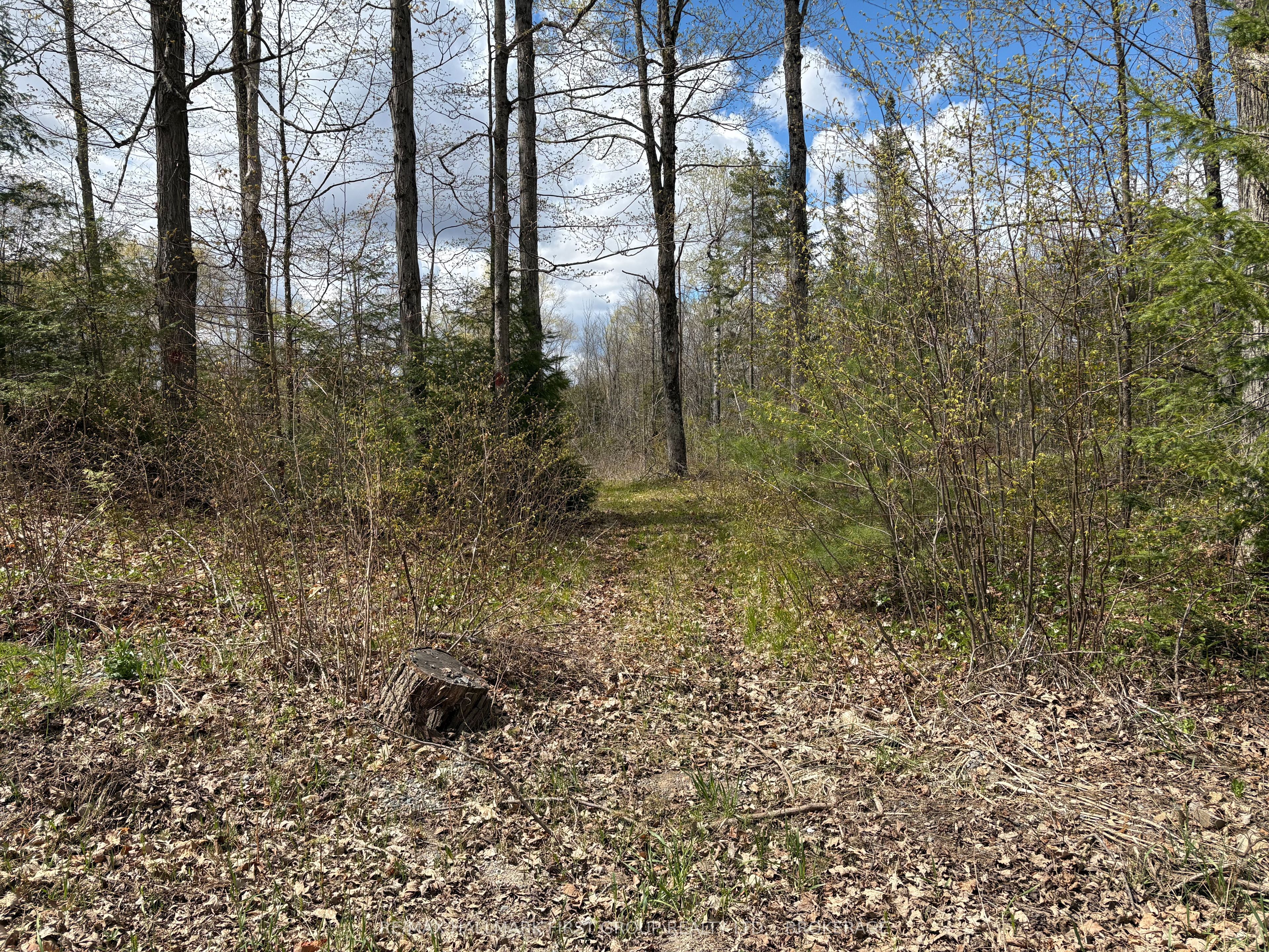 Lot 0 County Road 38 Property Photo 39