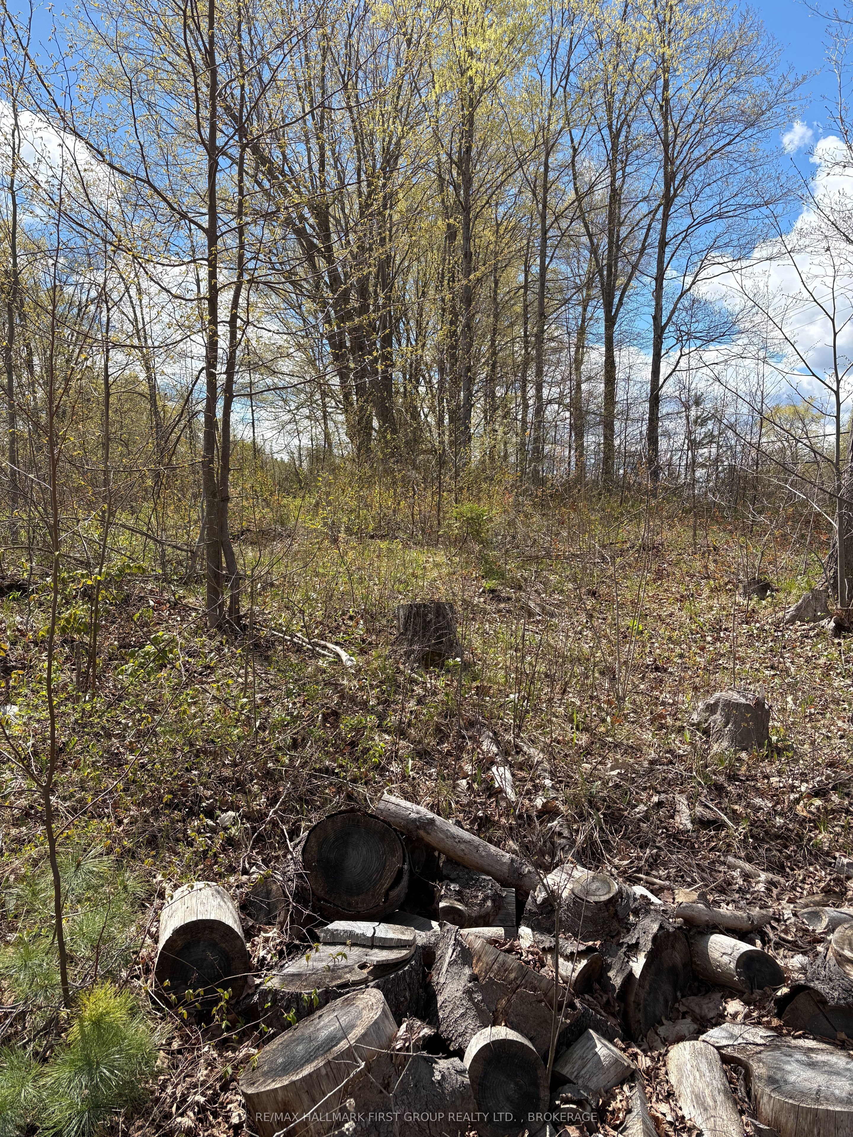 Lot 0 County Road 38 Property Photo 40