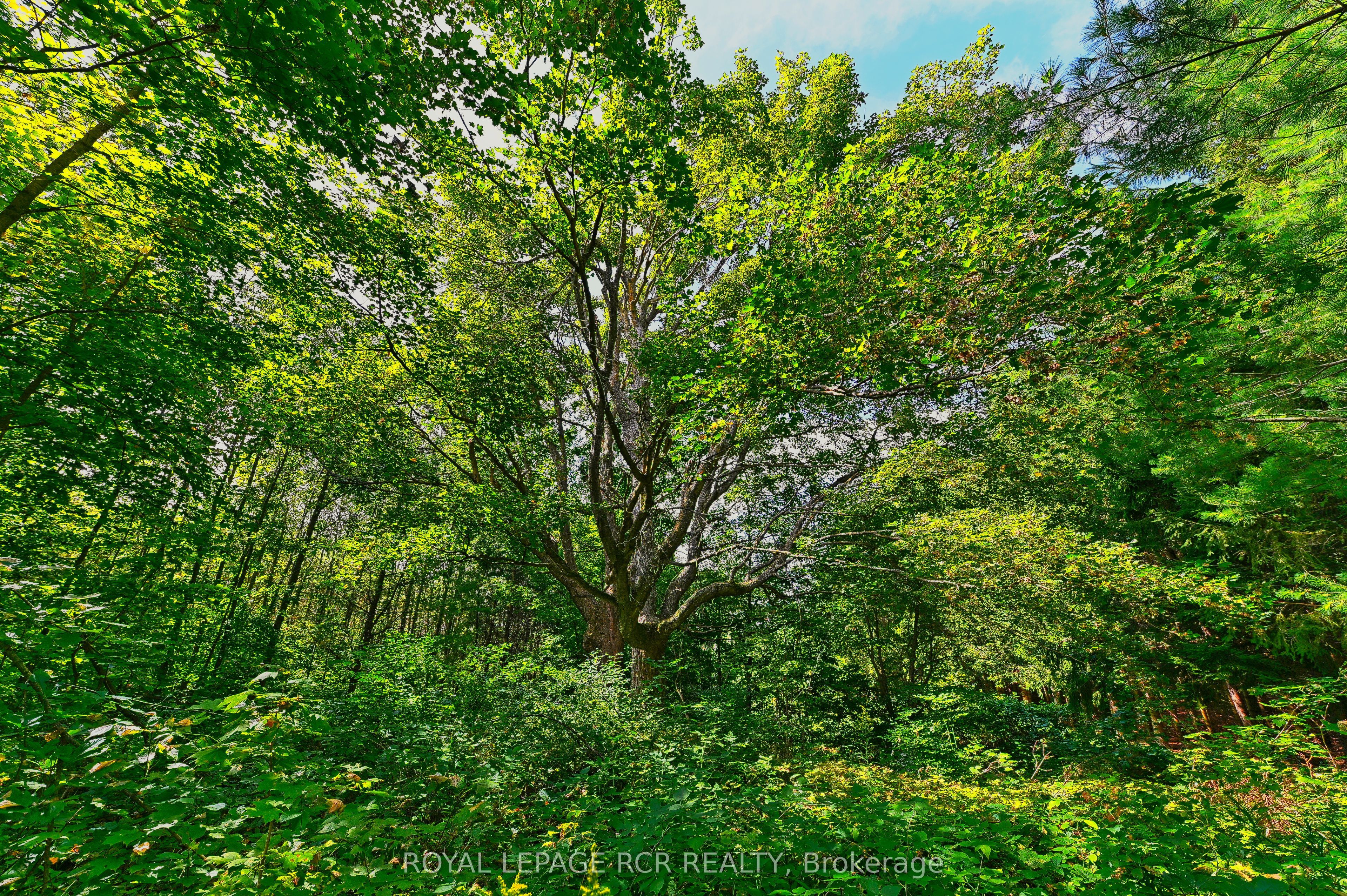 Lot 29 Prince Of Wales Road Property Photo 2