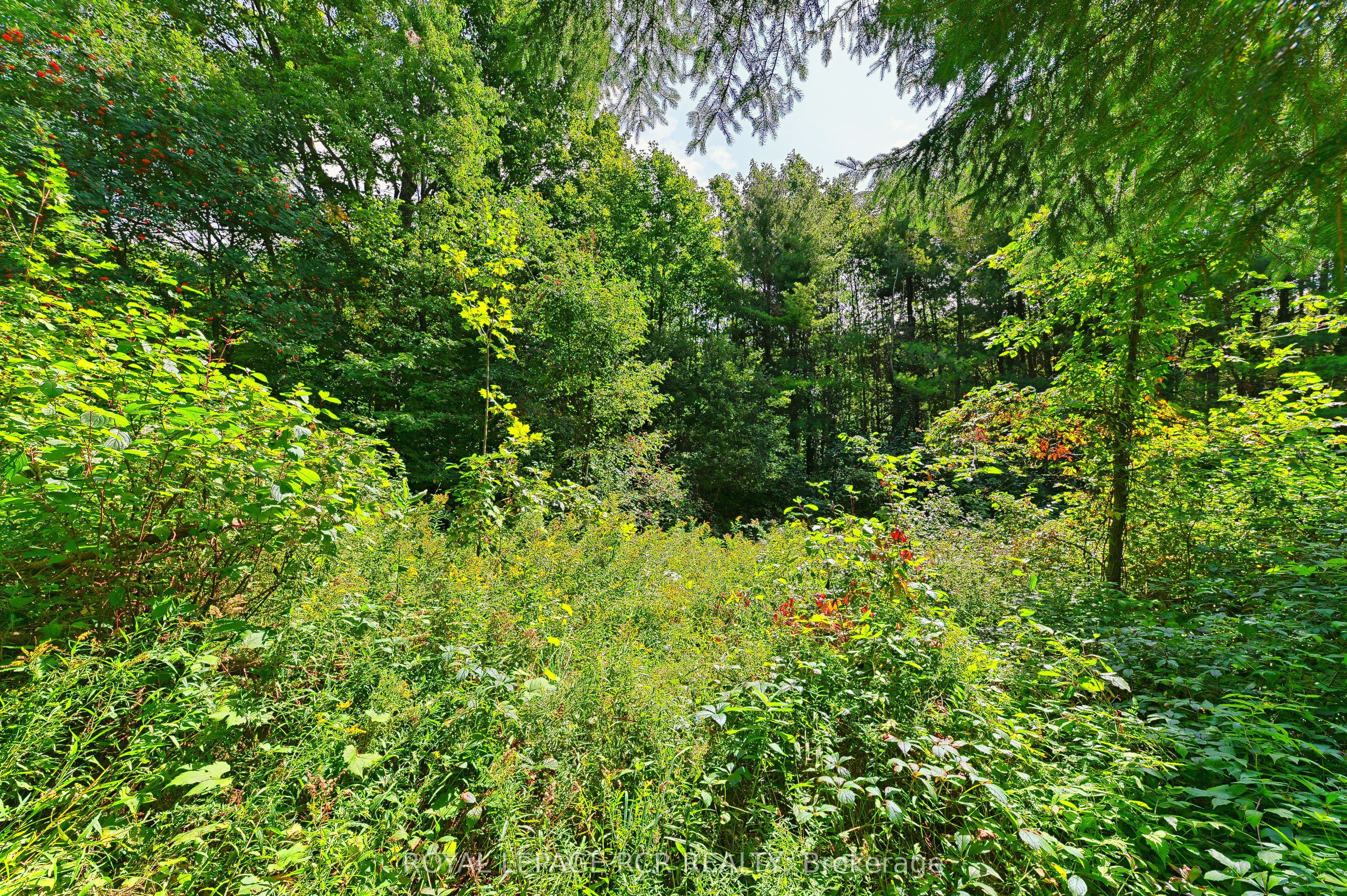 Lot 29 Prince Of Wales Road Property Photo 4