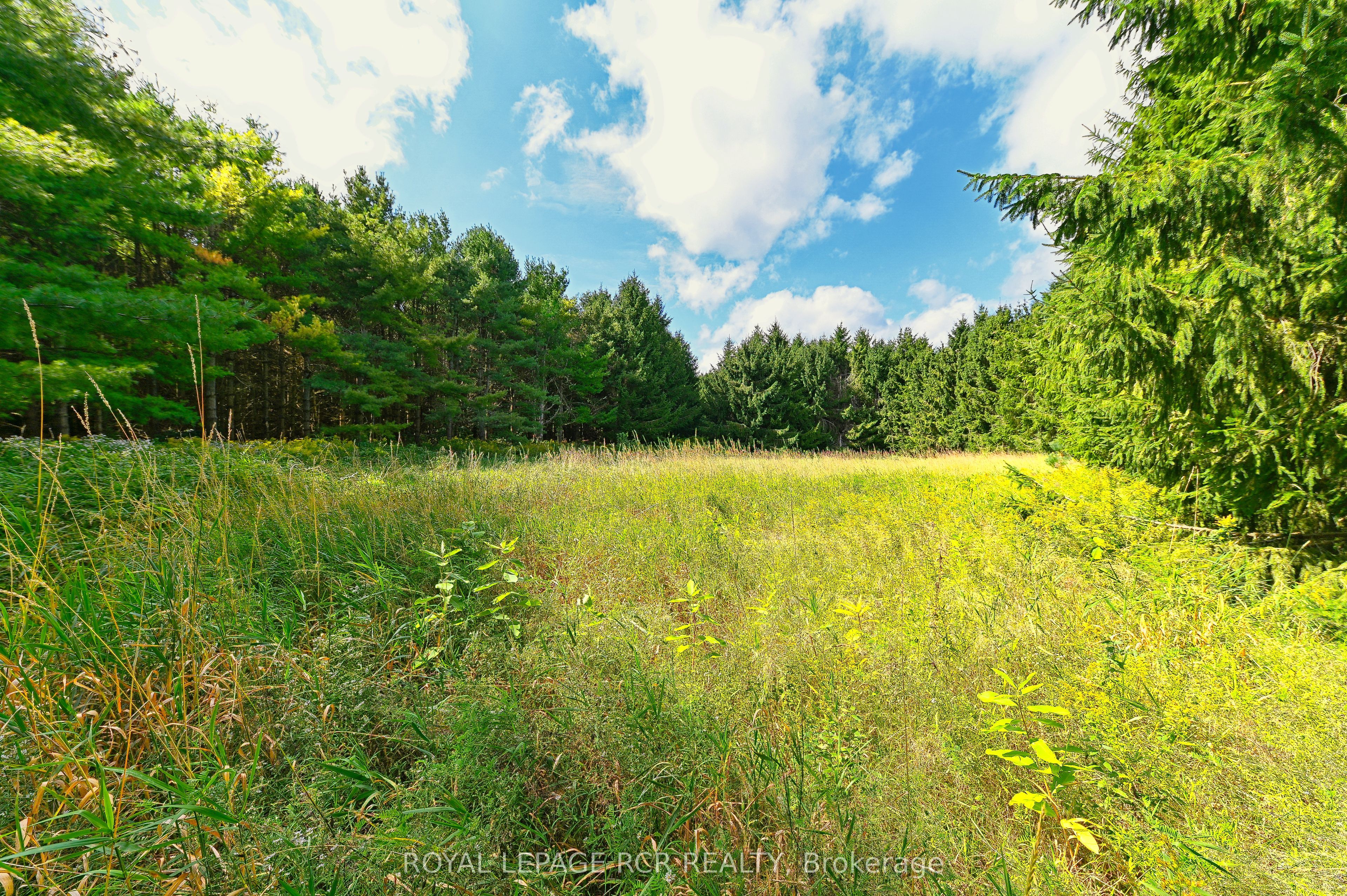 Lot 29 Prince Of Wales Road Property Photo 5