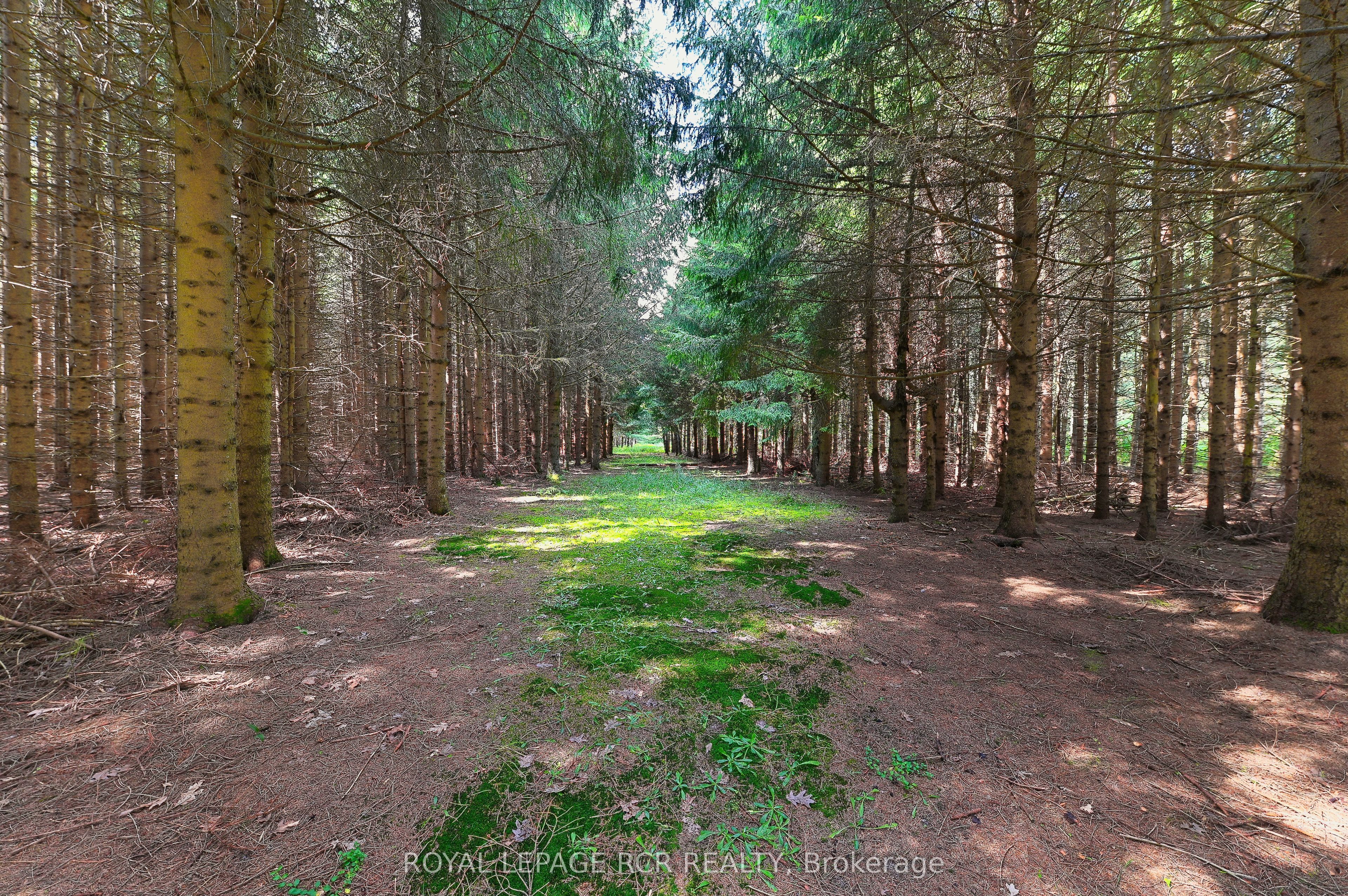Lot 29 Prince Of Wales Road Property Photo 6