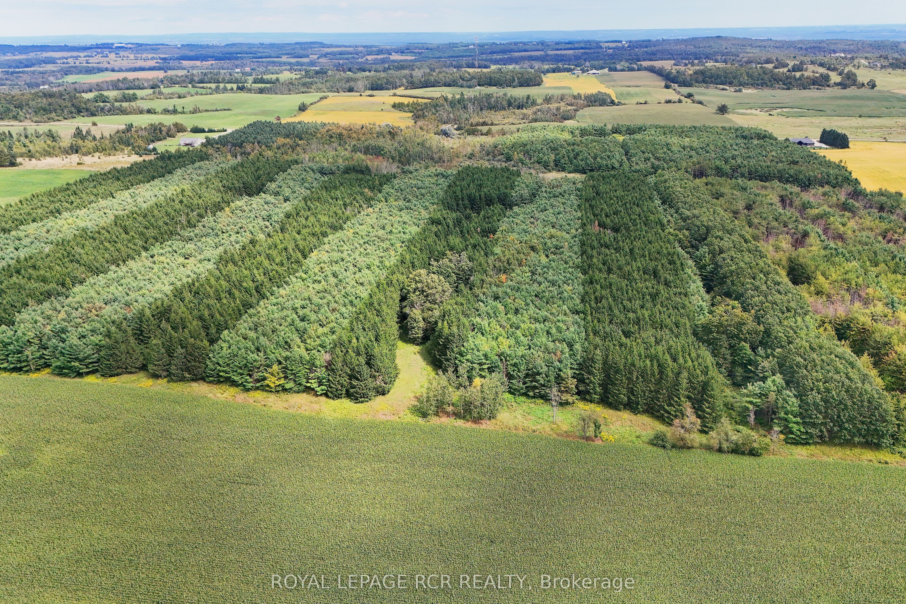 Lot 29 Prince Of Wales Road Property Photo 10