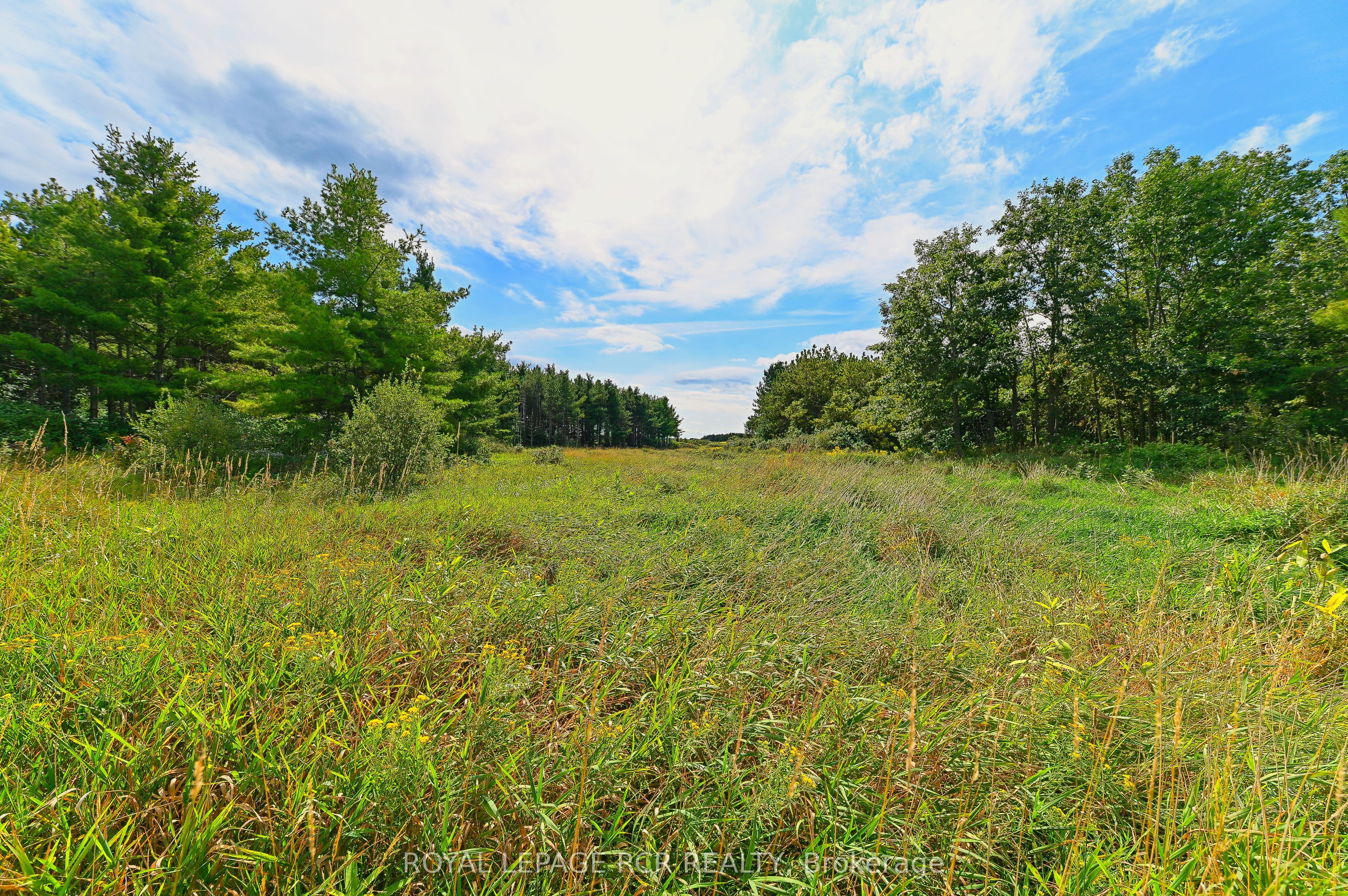Lot 29 Prince Of Wales Road Property Photo 11