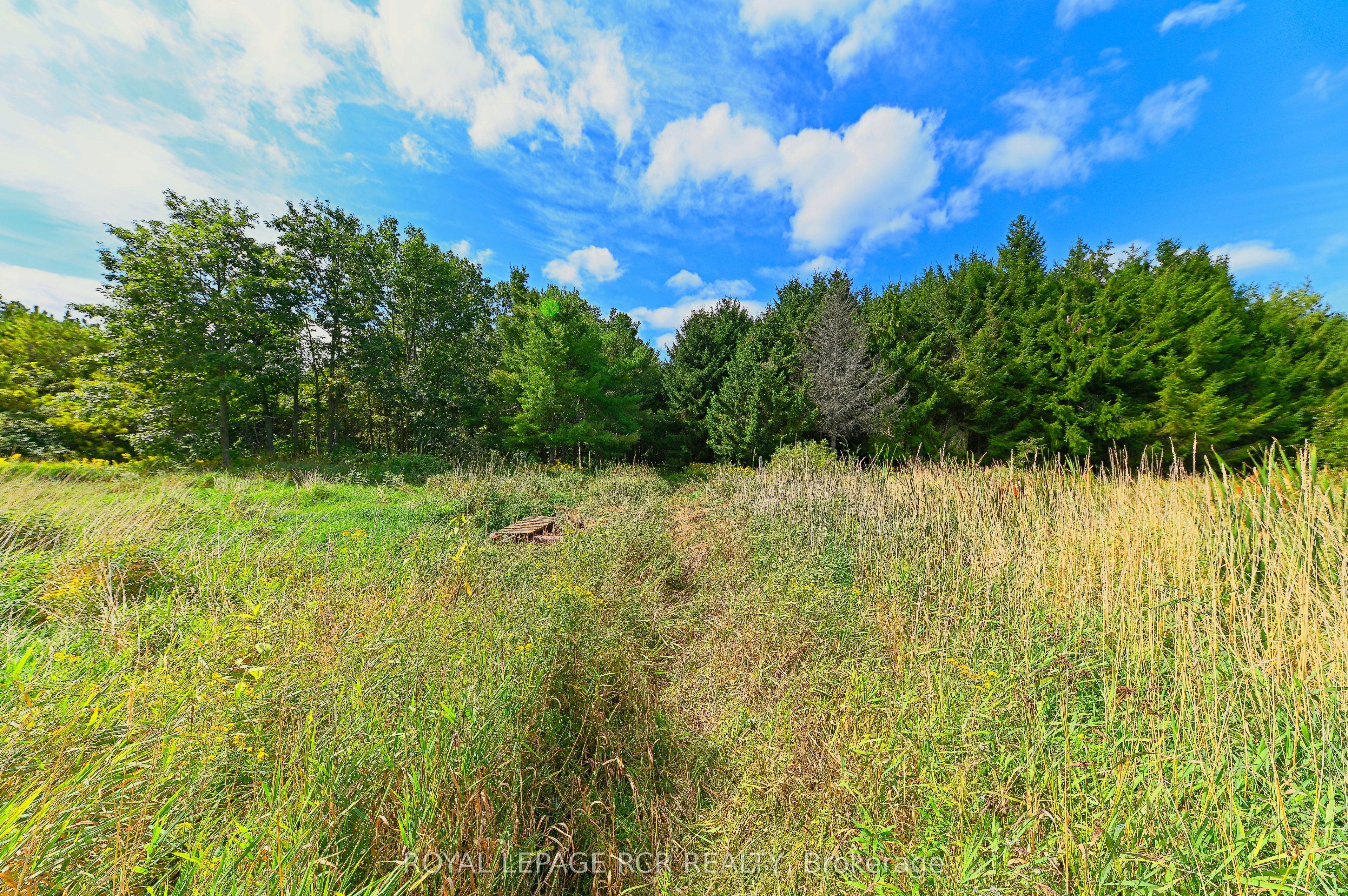 Lot 29 Prince Of Wales Road Property Photo 12