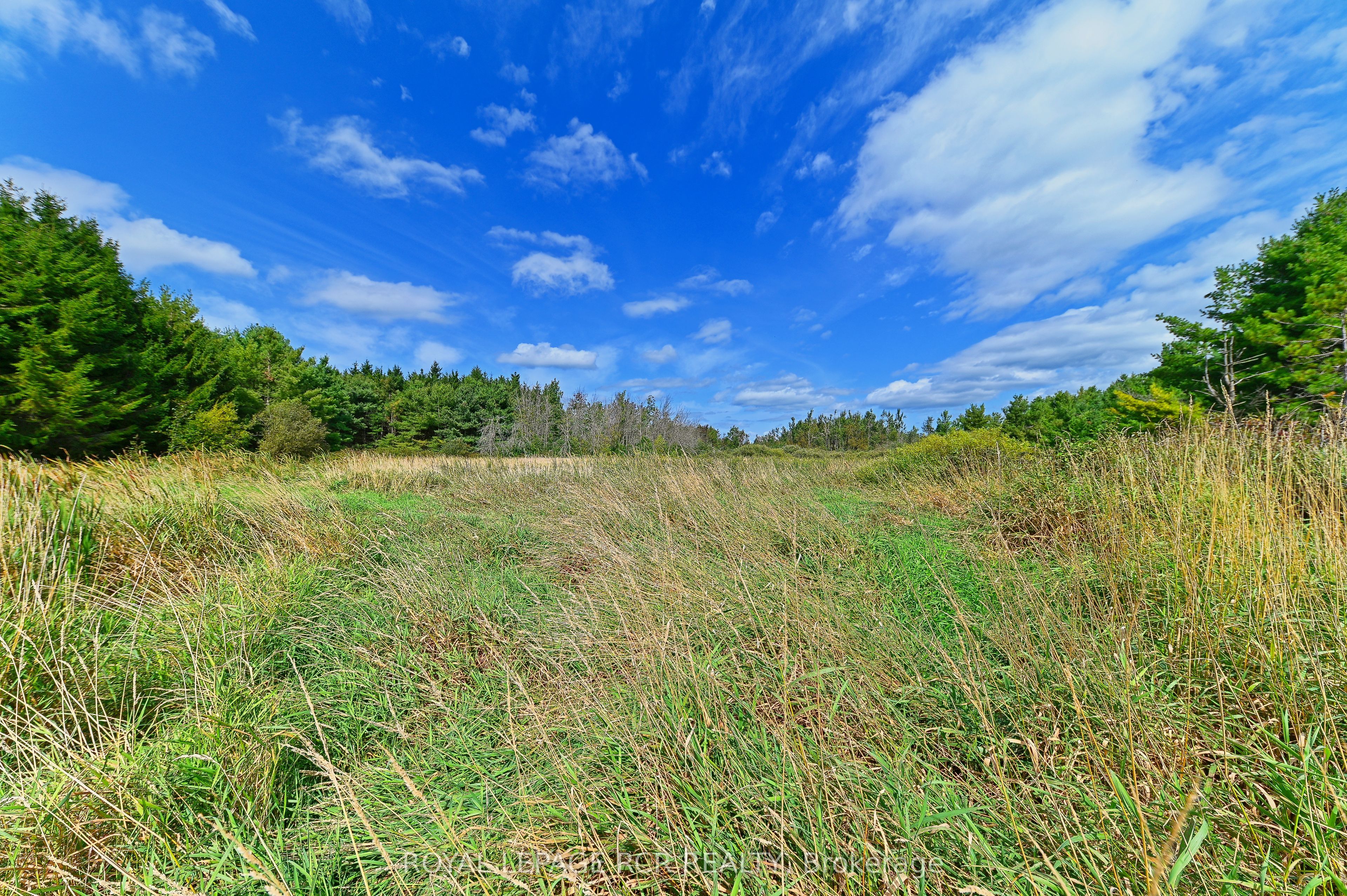 Lot 29 Prince Of Wales Road Property Photo 13