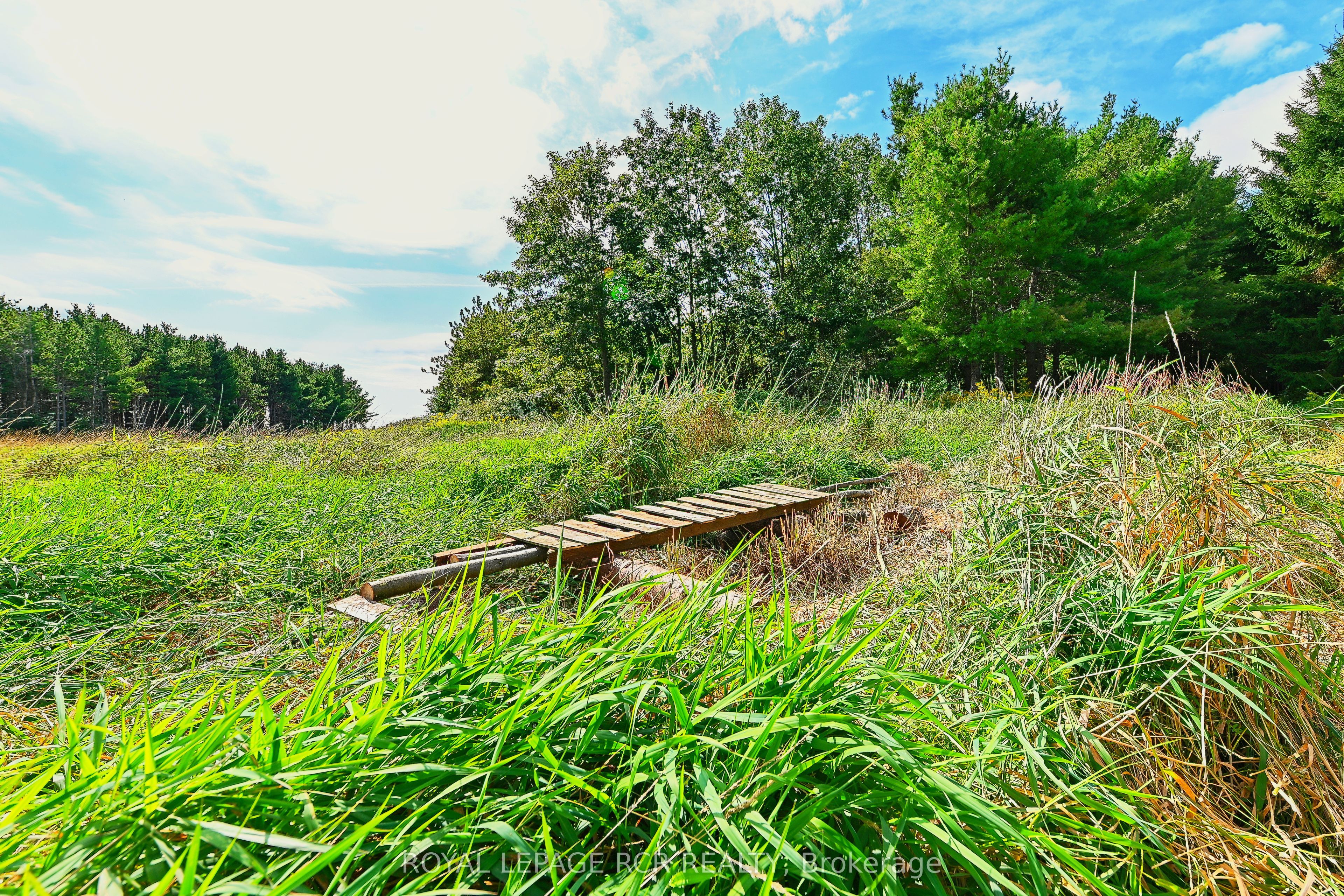 Lot 29 Prince Of Wales Road Property Photo 14