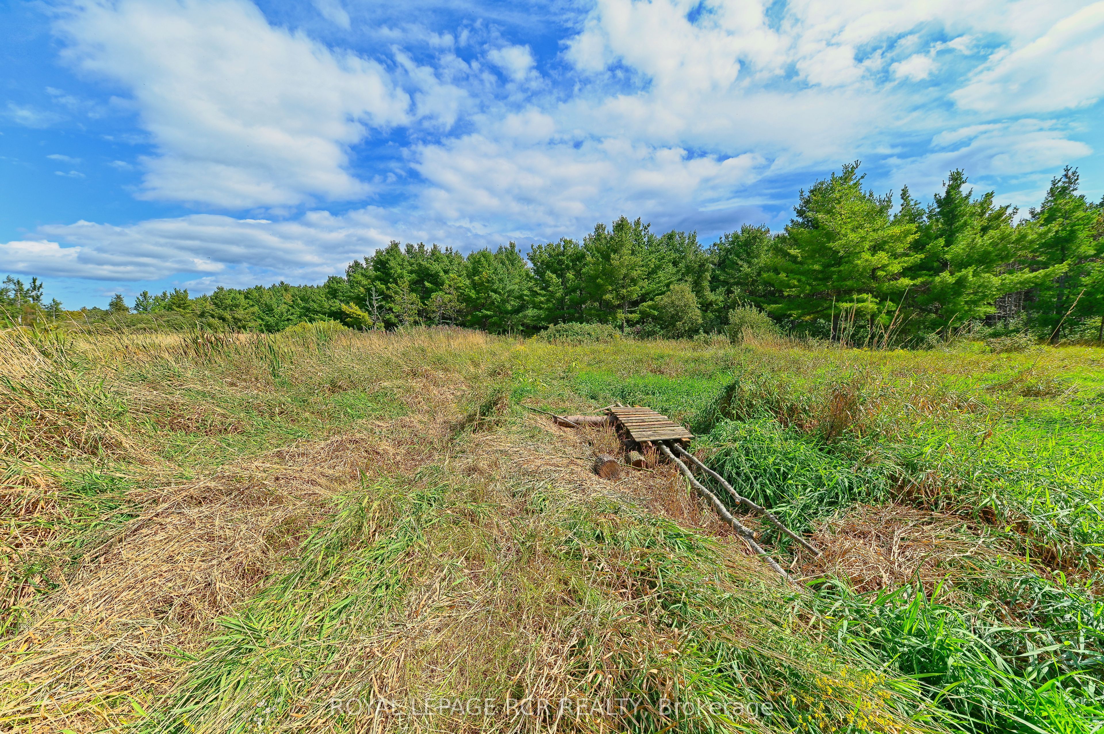 Lot 29 Prince Of Wales Road Property Photo 15