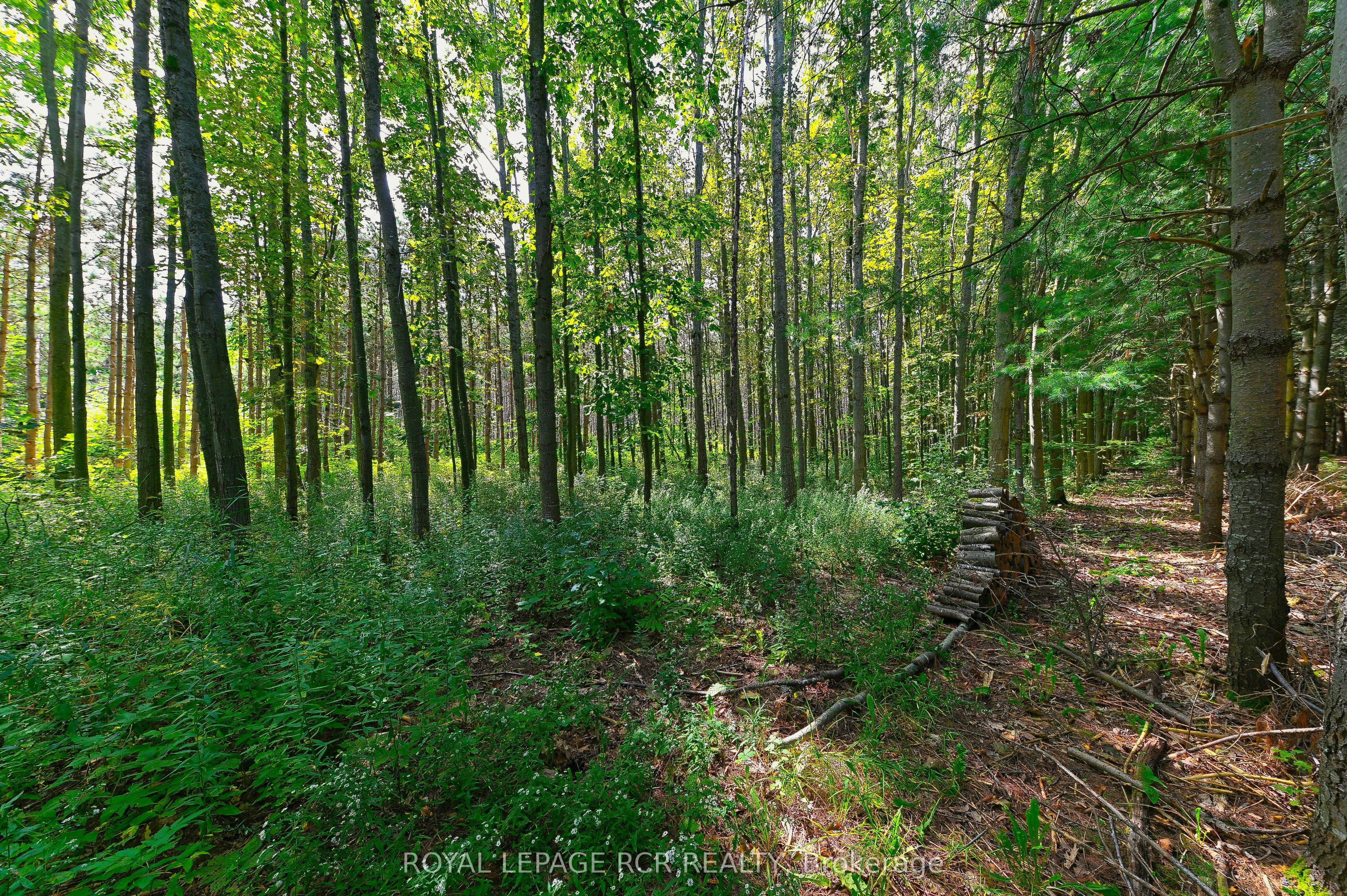 Lot 29 Prince Of Wales Road Property Photo 17