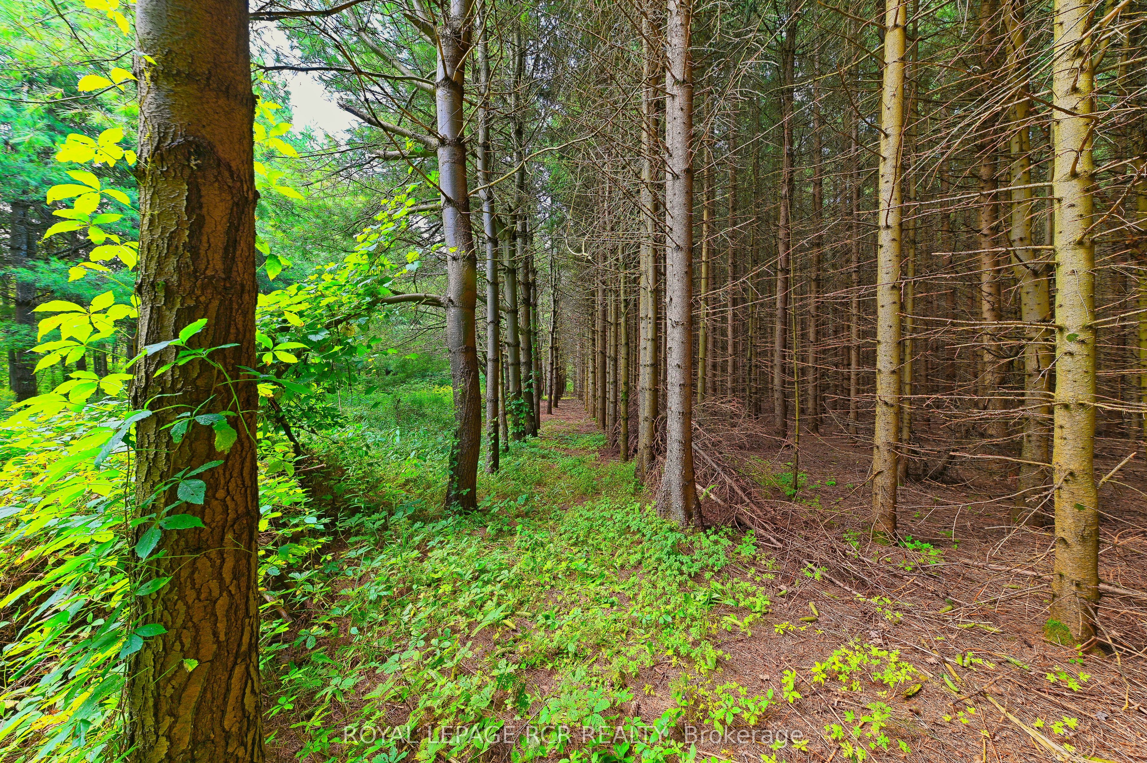 Lot 29 Prince Of Wales Road Property Photo 18