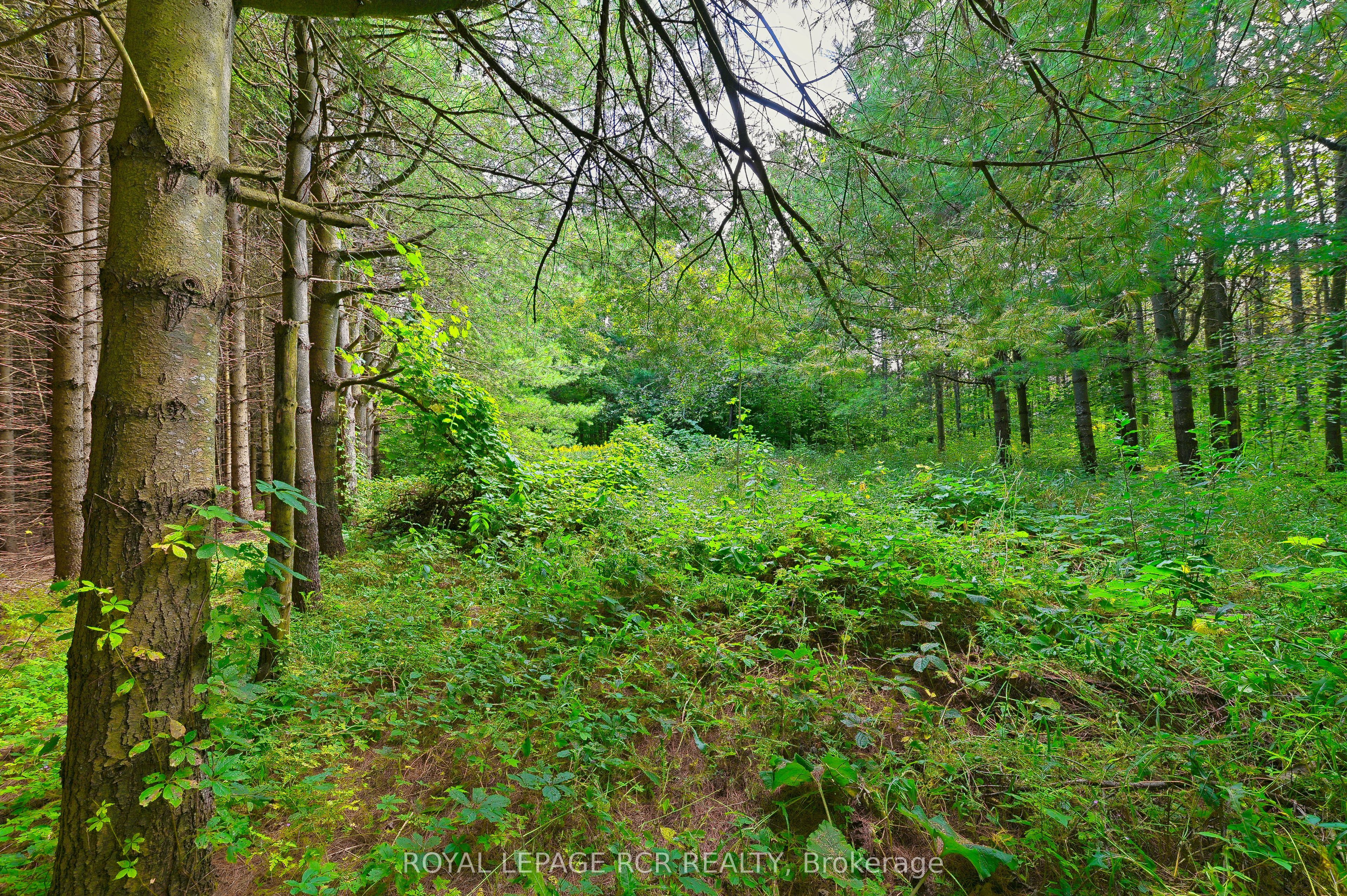 Lot 29 Prince Of Wales Road Property Photo 19