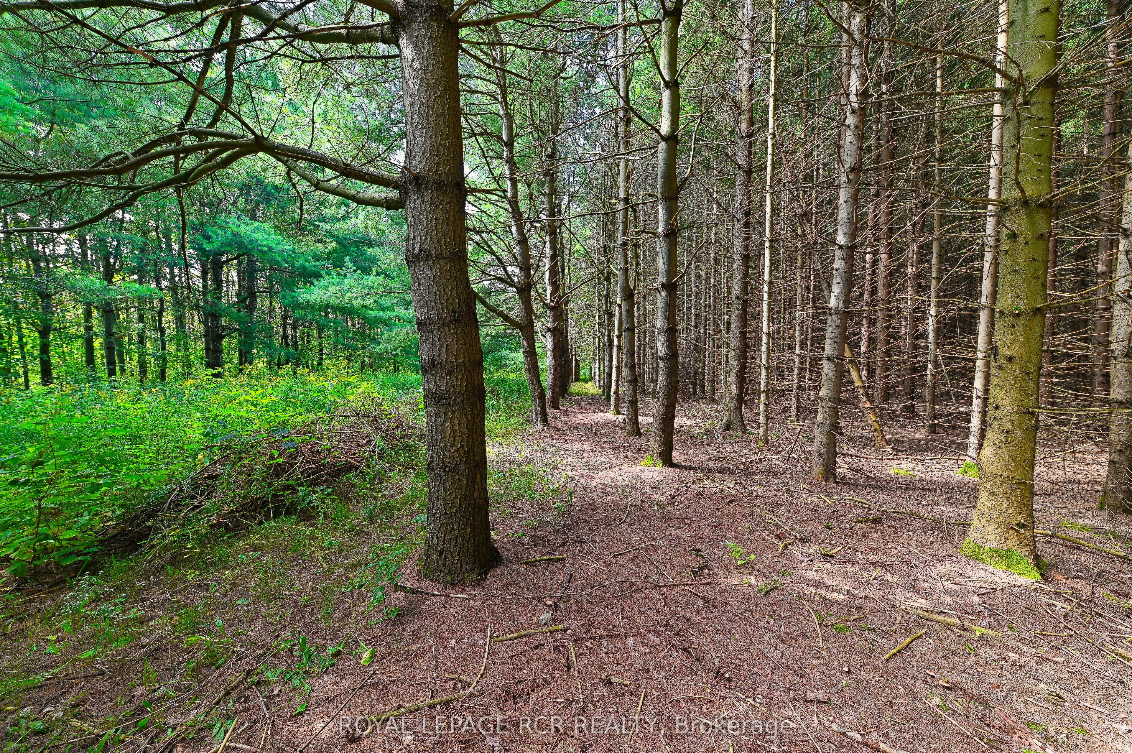 Lot 29 Prince Of Wales Road Property Photo 20