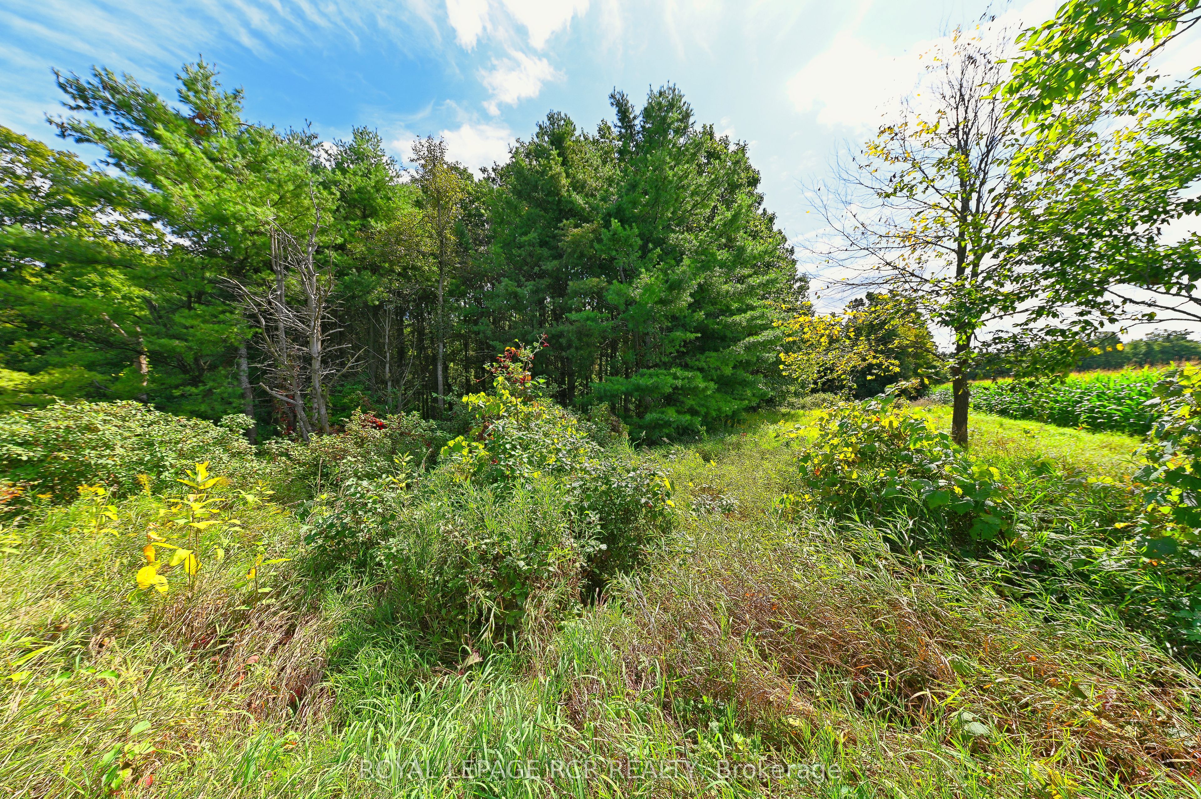 Lot 29 Prince Of Wales Road Property Photo 21