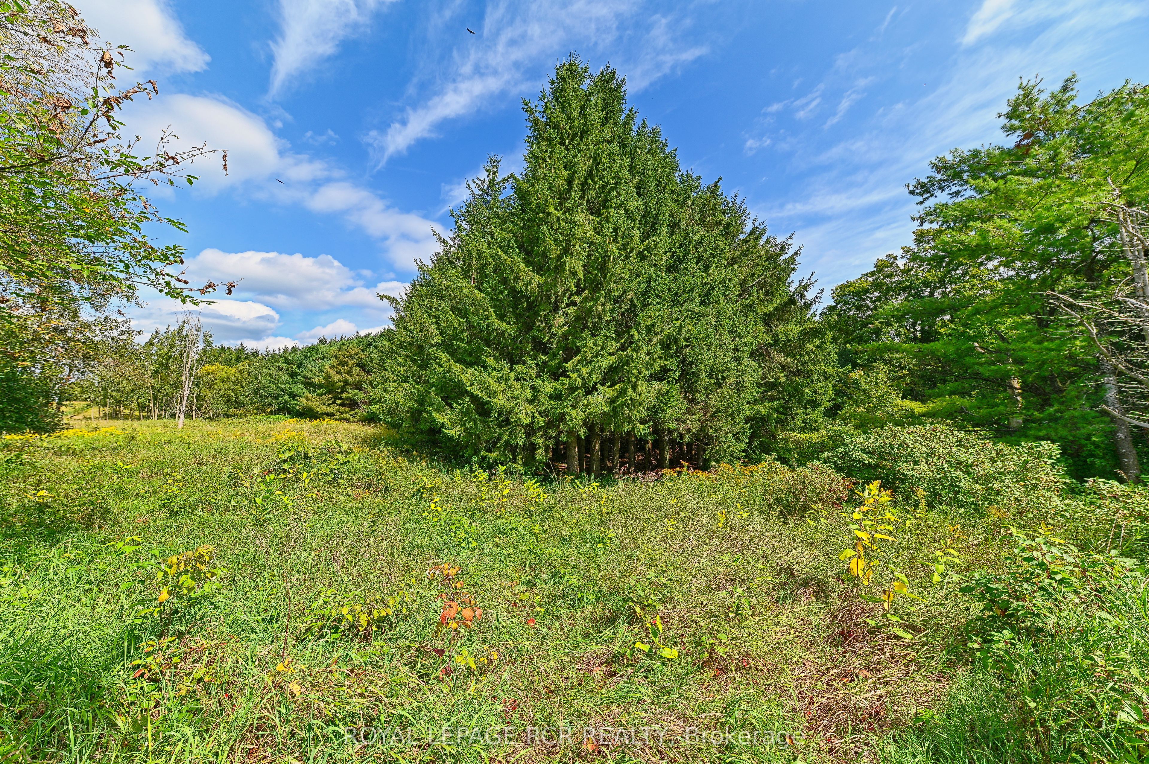 Lot 29 Prince Of Wales Road Property Photo 22