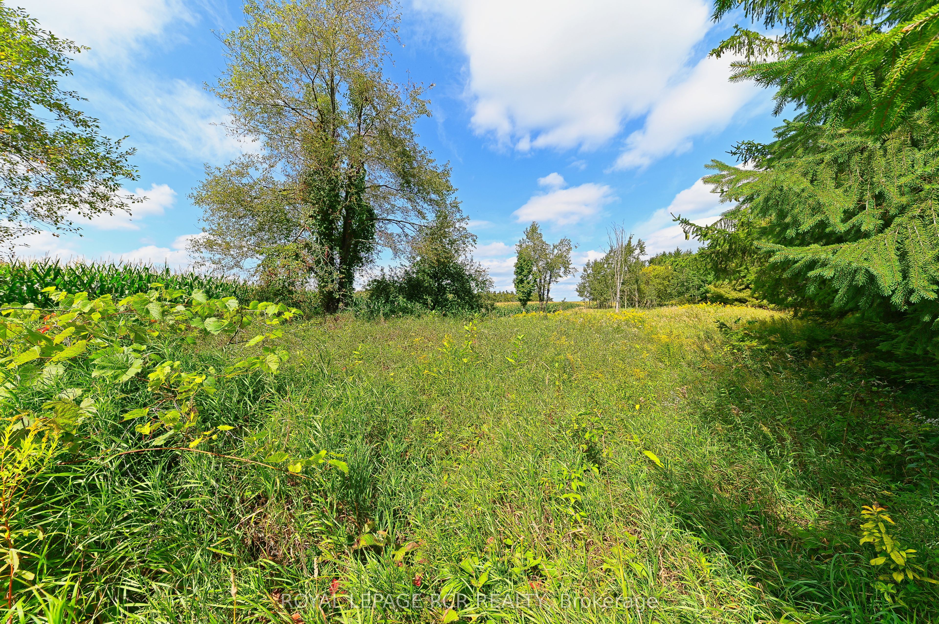 Lot 29 Prince Of Wales Road Property Photo 23