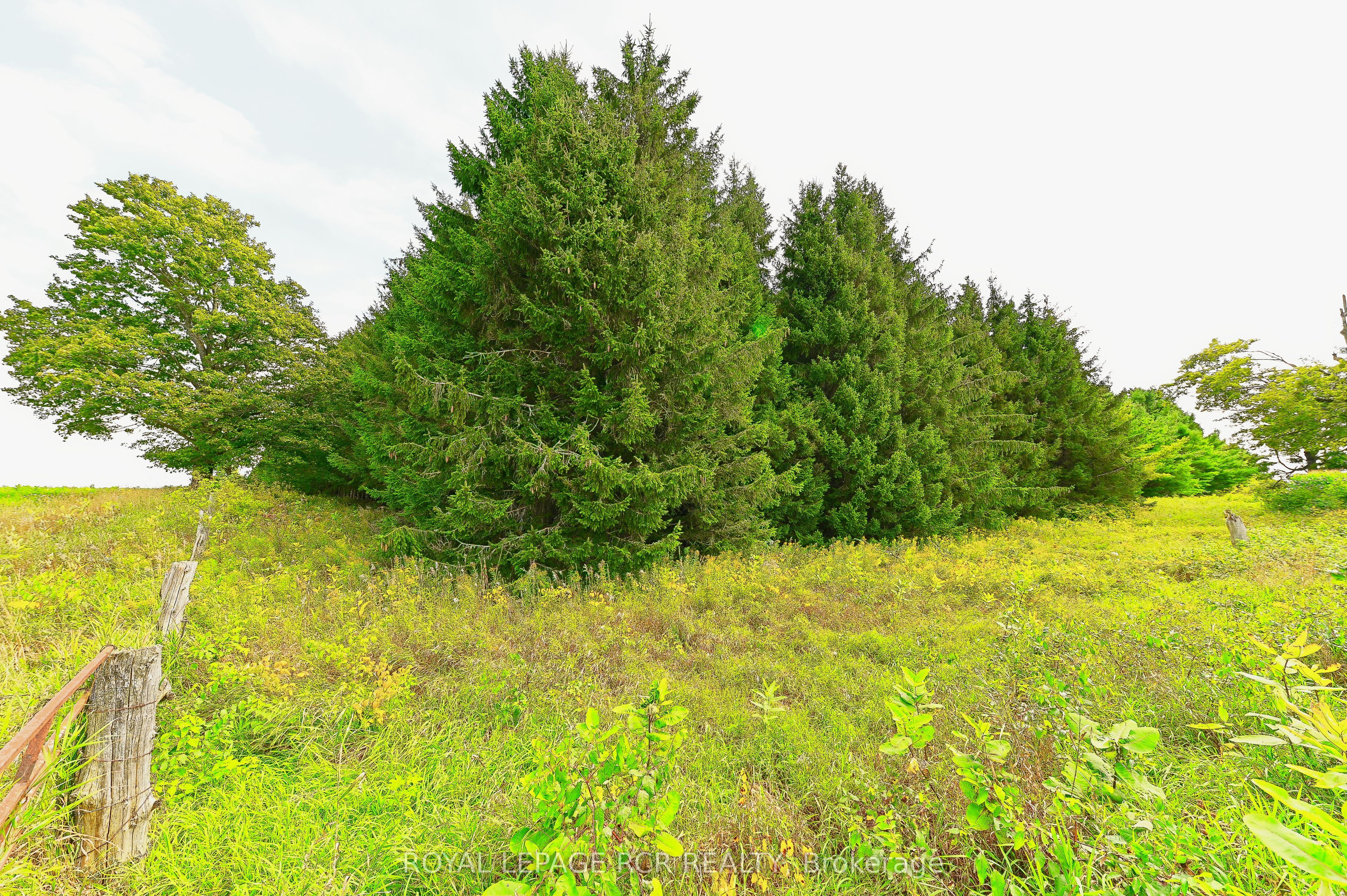 Lot 29 Prince Of Wales Road Property Photo 24