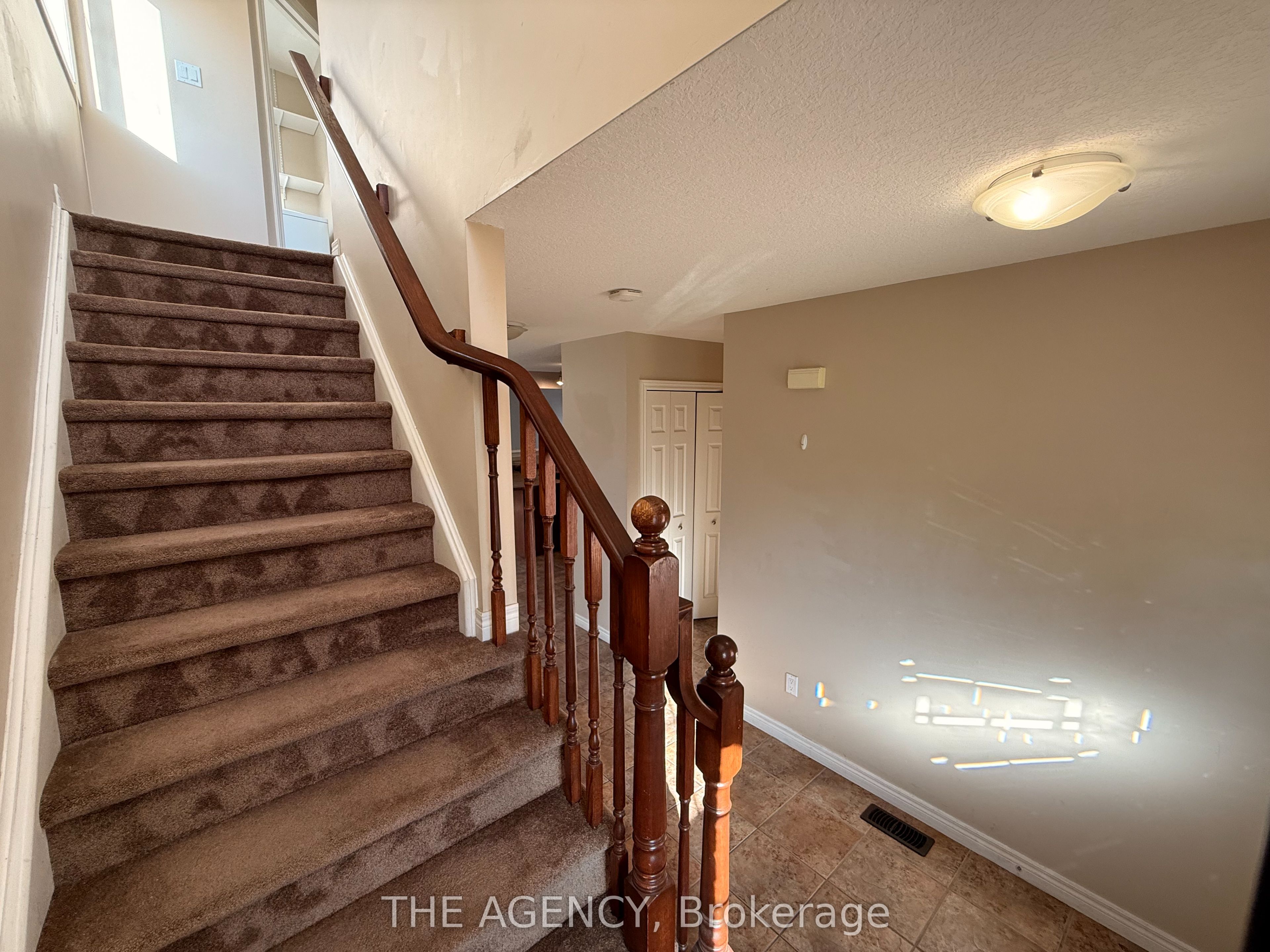 31 Dougall Street Property Photo 19