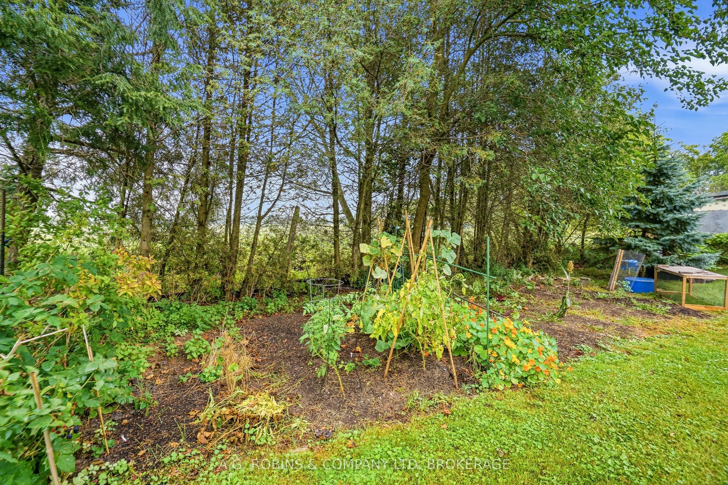 12040 Lakeshore Road Property Photo 20