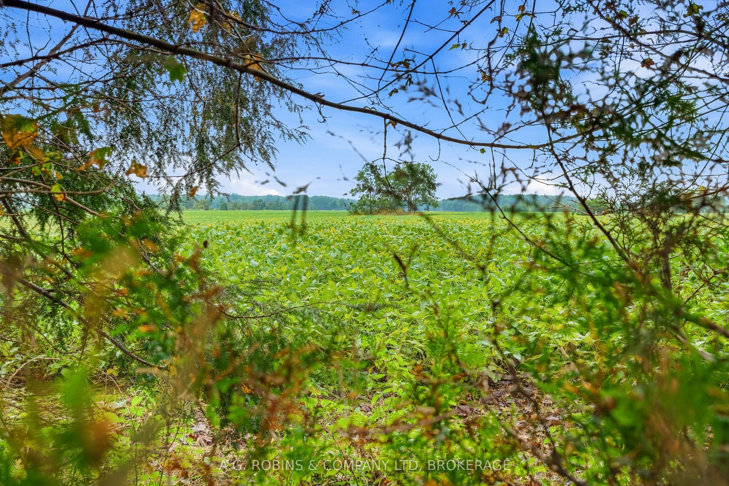 12040 Lakeshore Road Property Photo 21