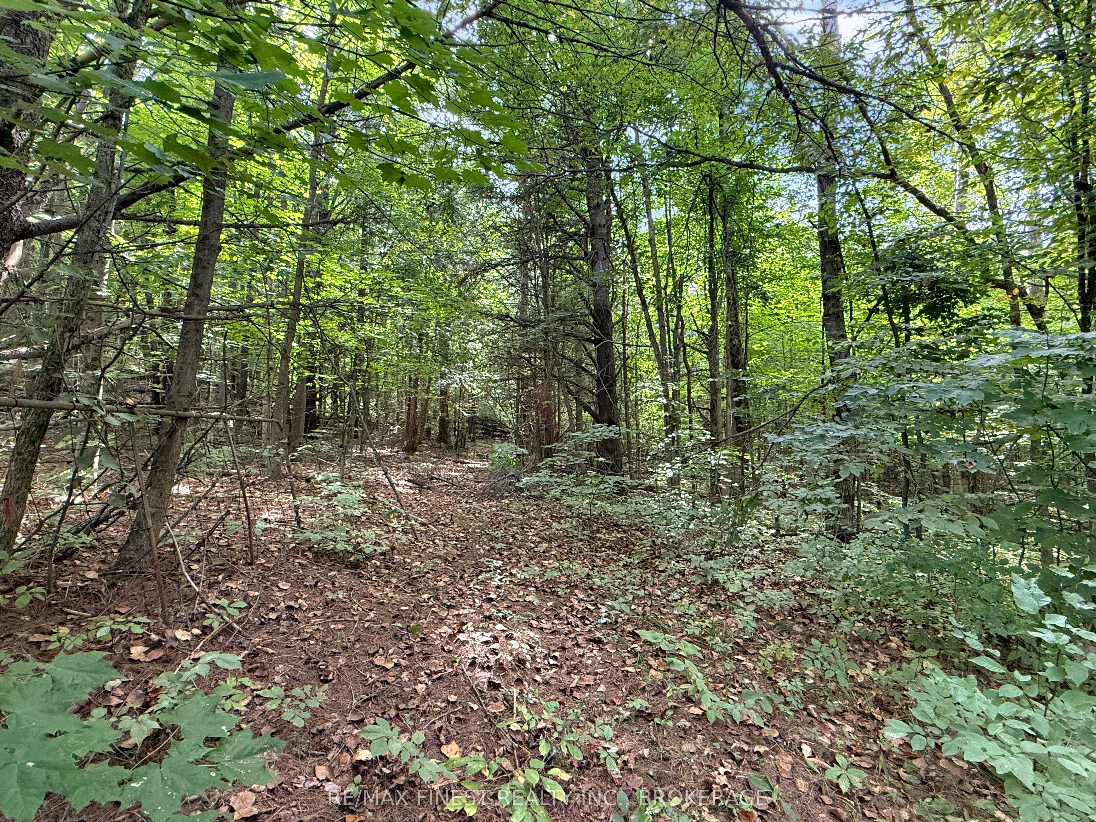 4900 County Rd 4 Property Photo 1
