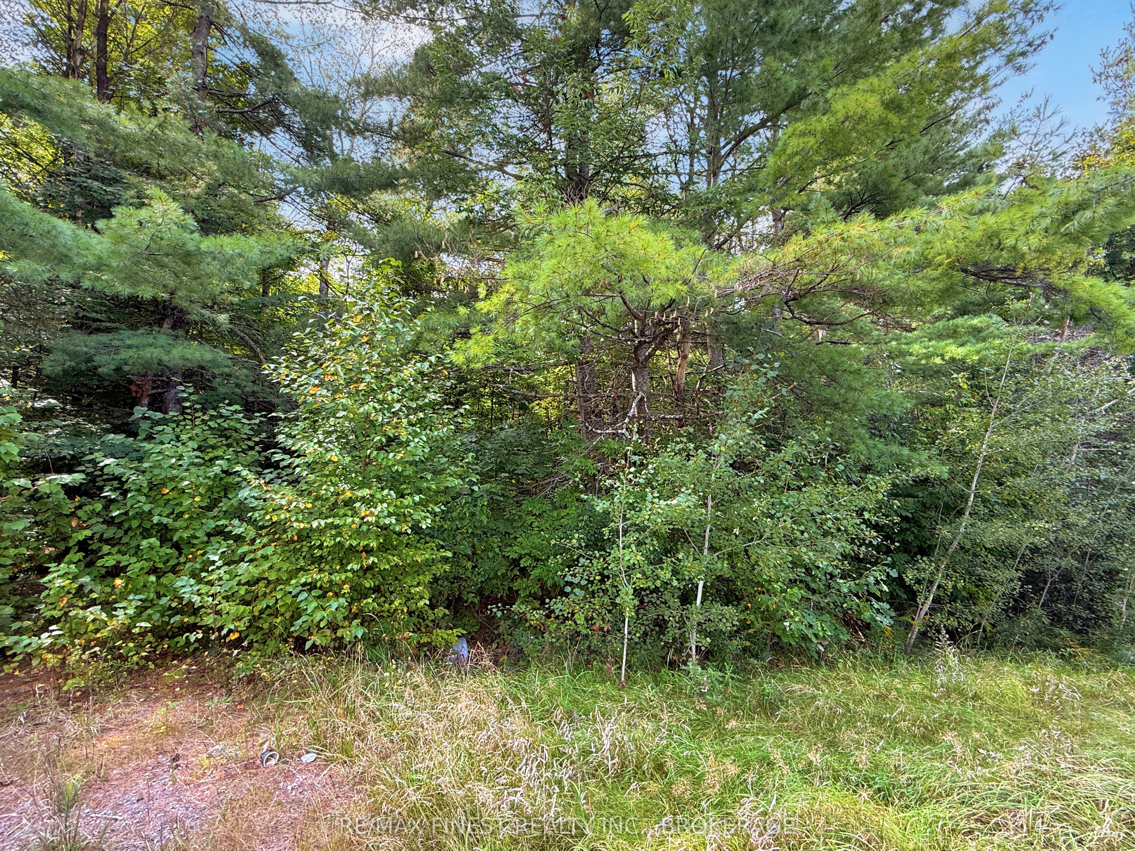 4900 County Rd 4 Property Photo 2